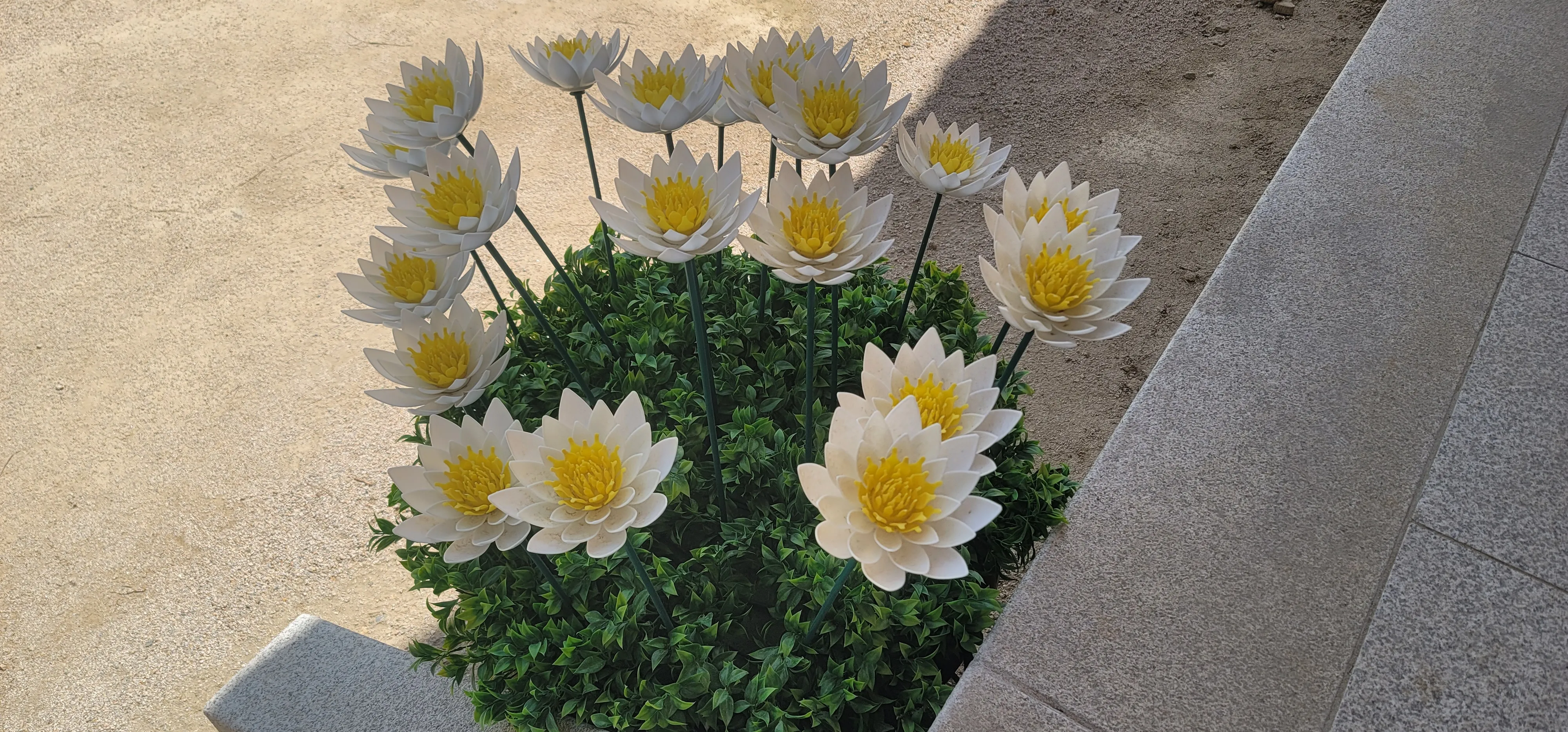 20260517_112642.jpg.webp