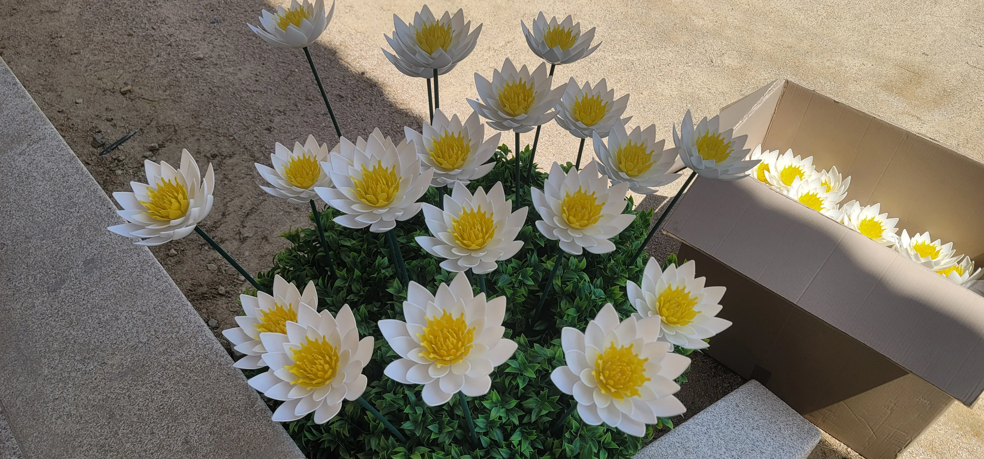 20260517_113707.jpg.webp