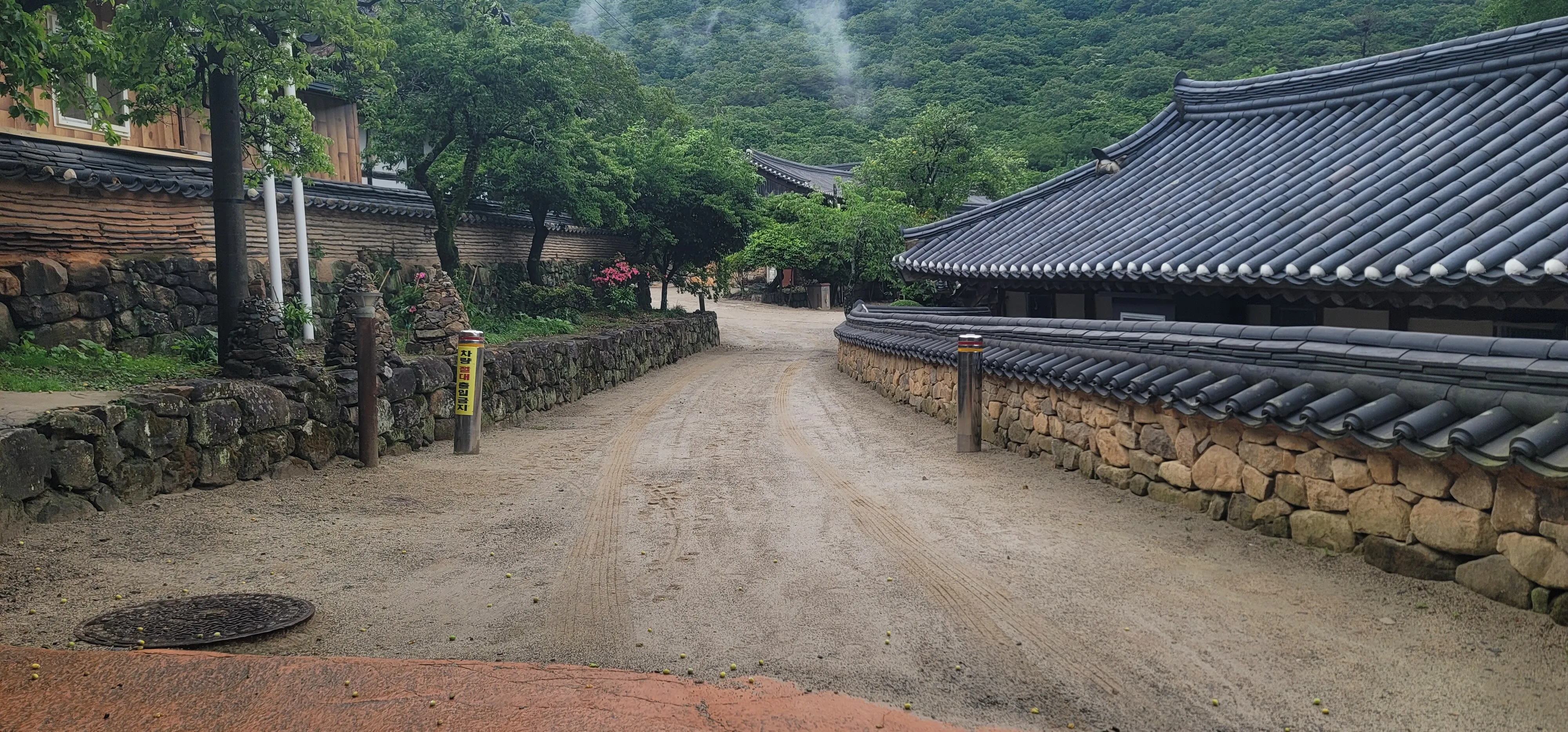 20260527_105554.jpg.webp