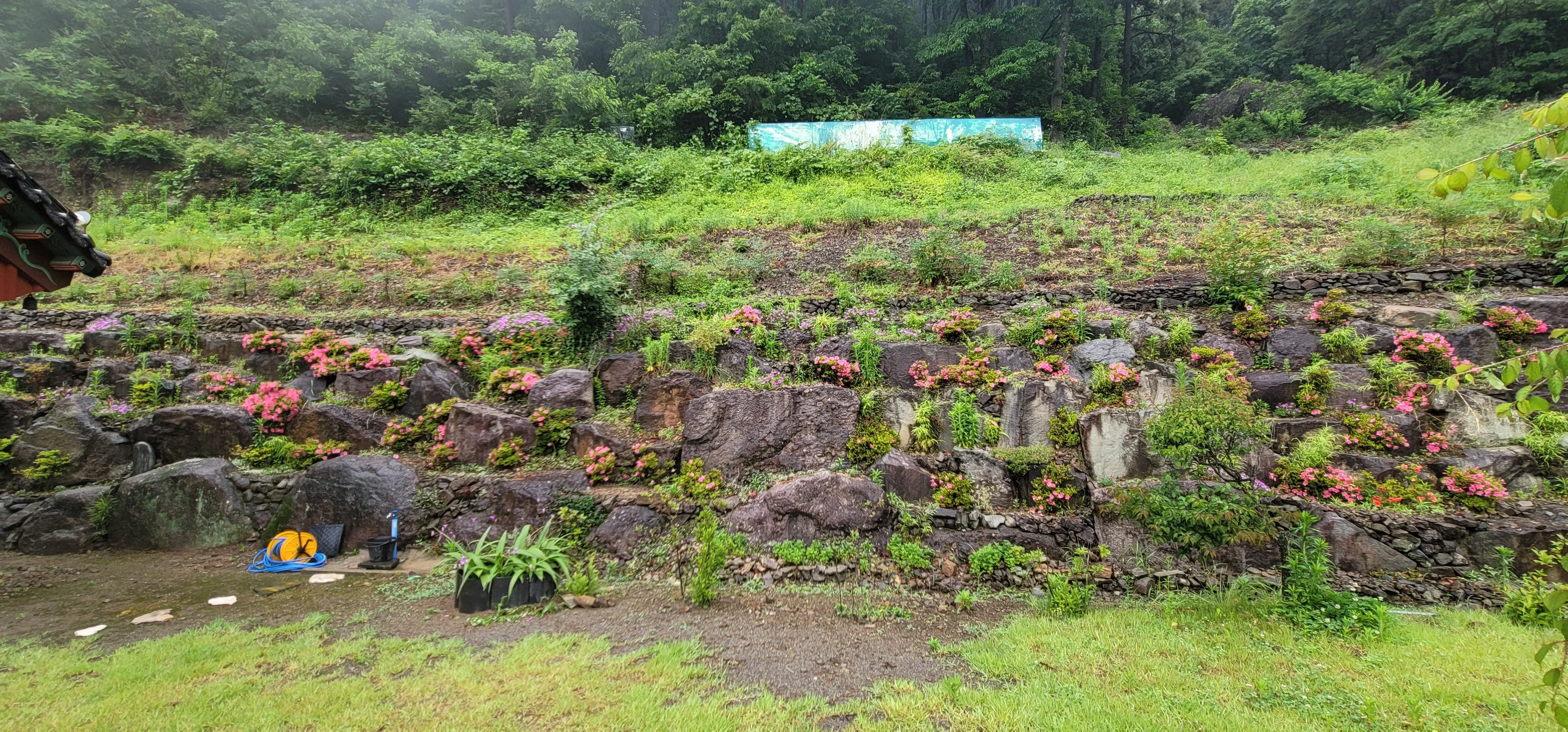 20260527_131717.jpg.webp