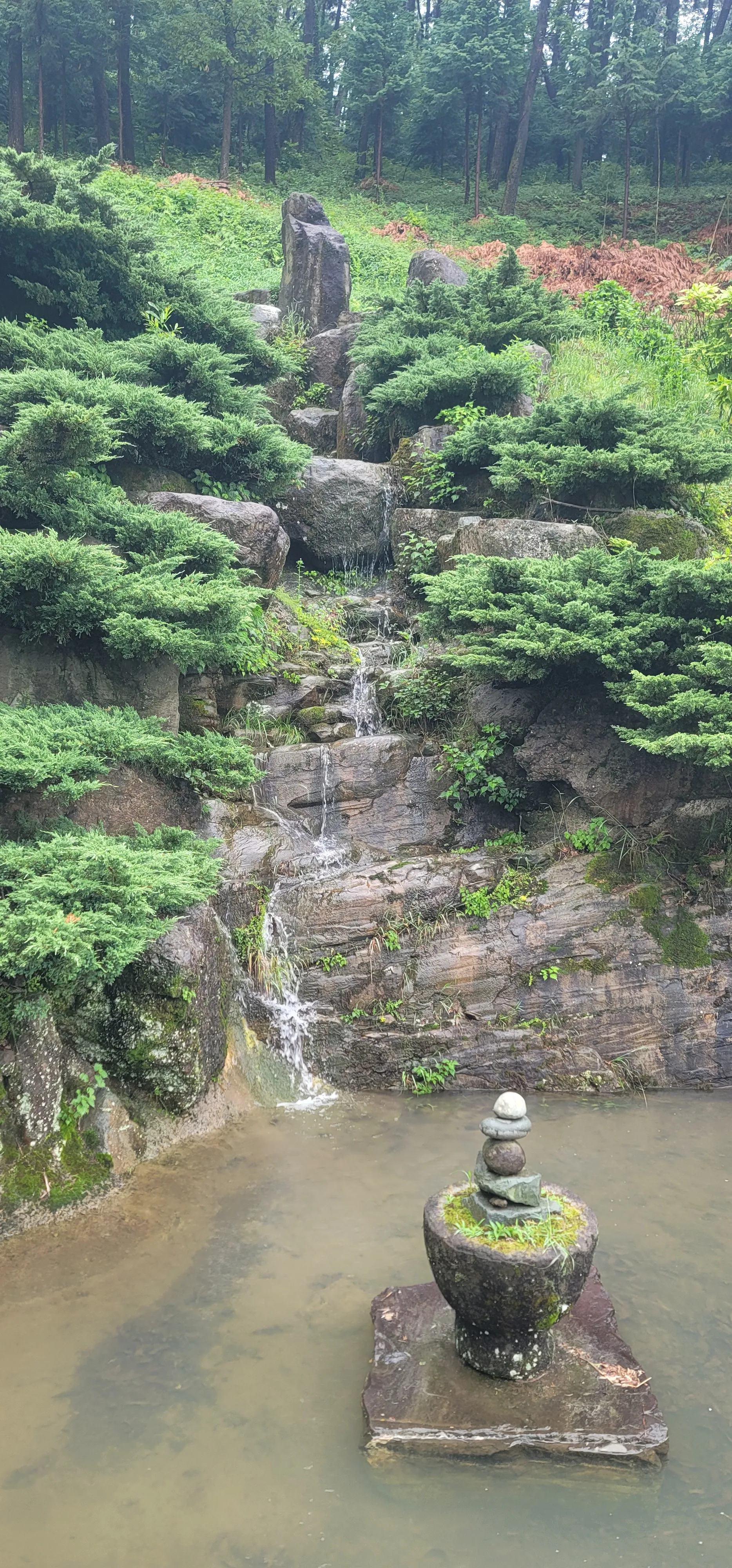20260527_133824.jpg.webp