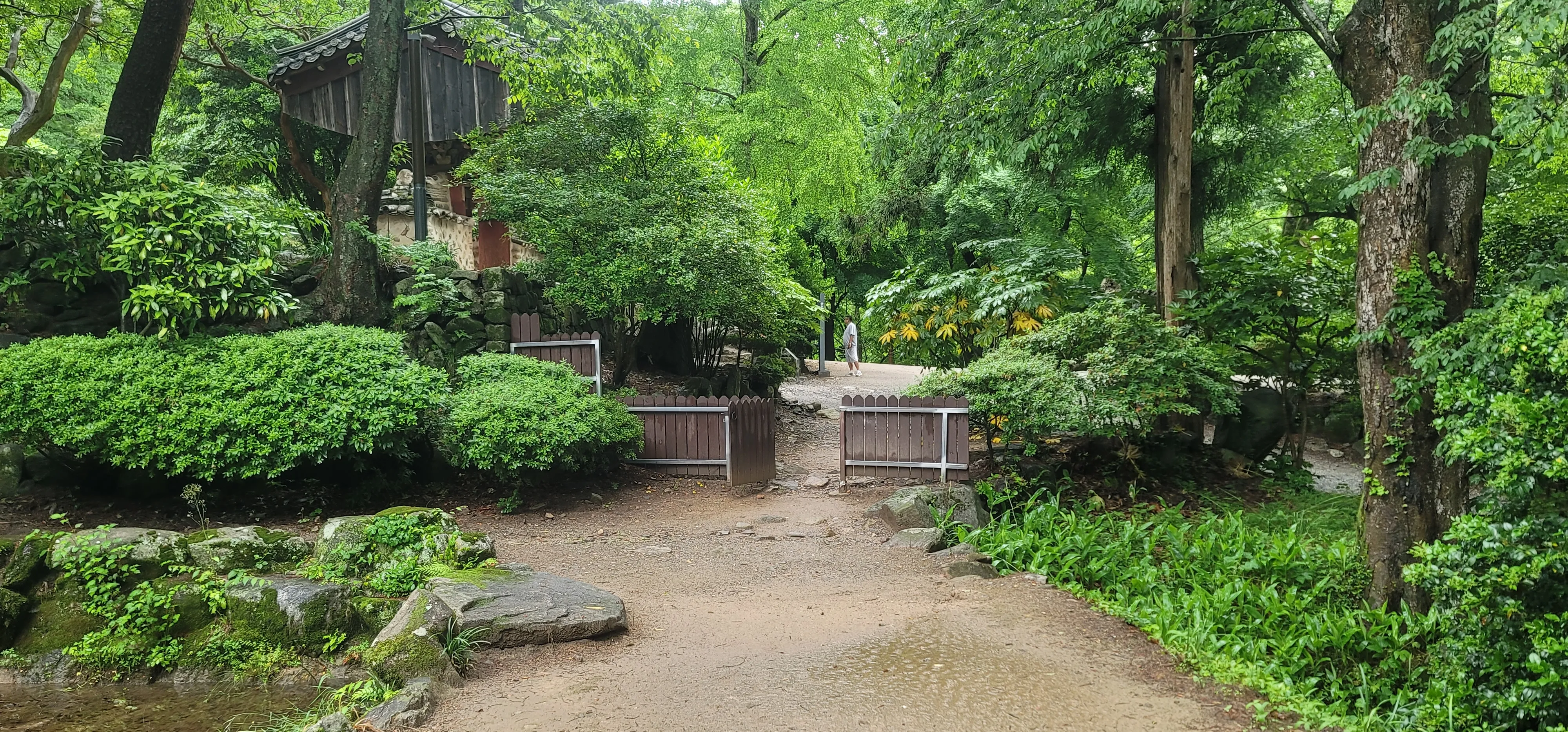 20260527_104911.jpg.webp