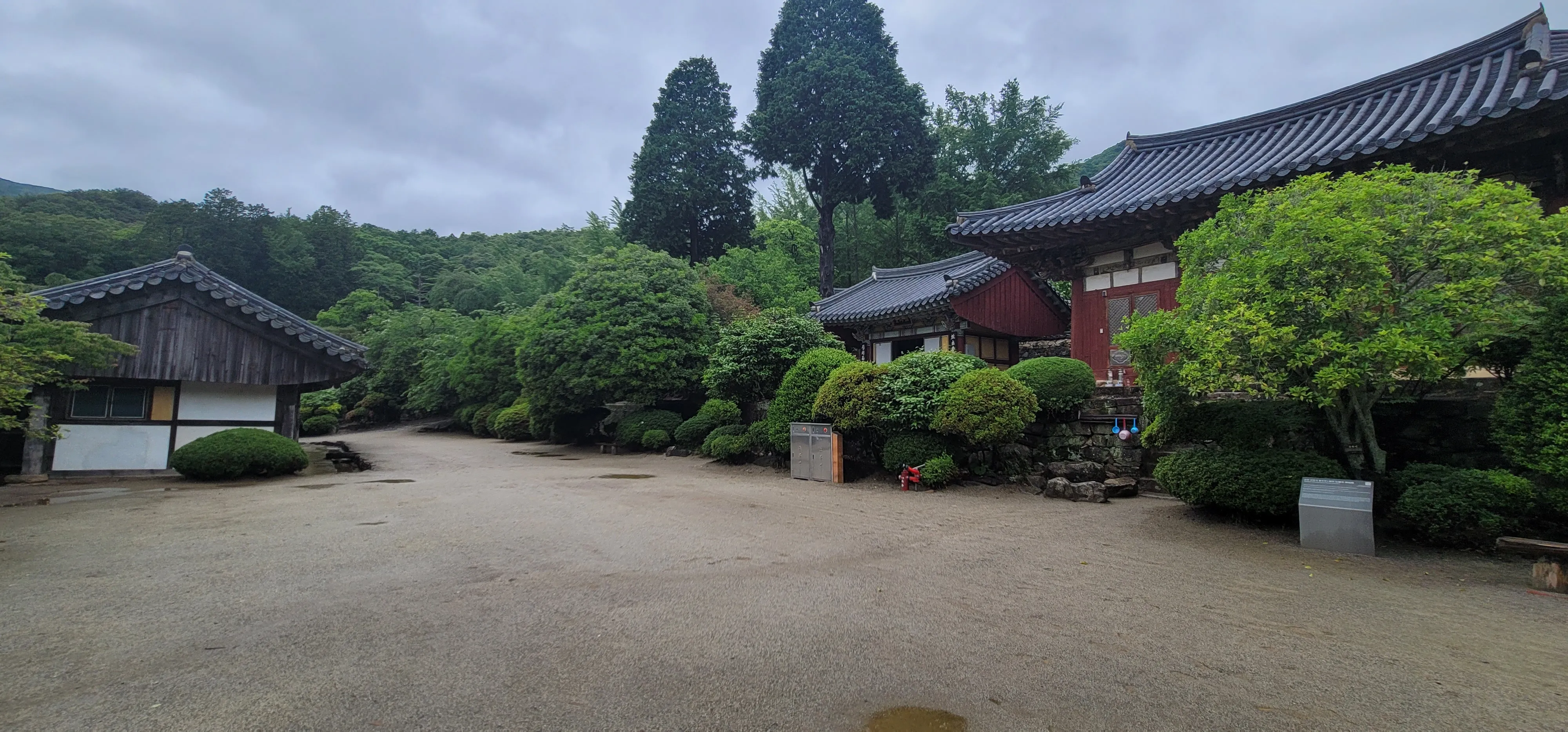 20260527_110310.jpg.webp