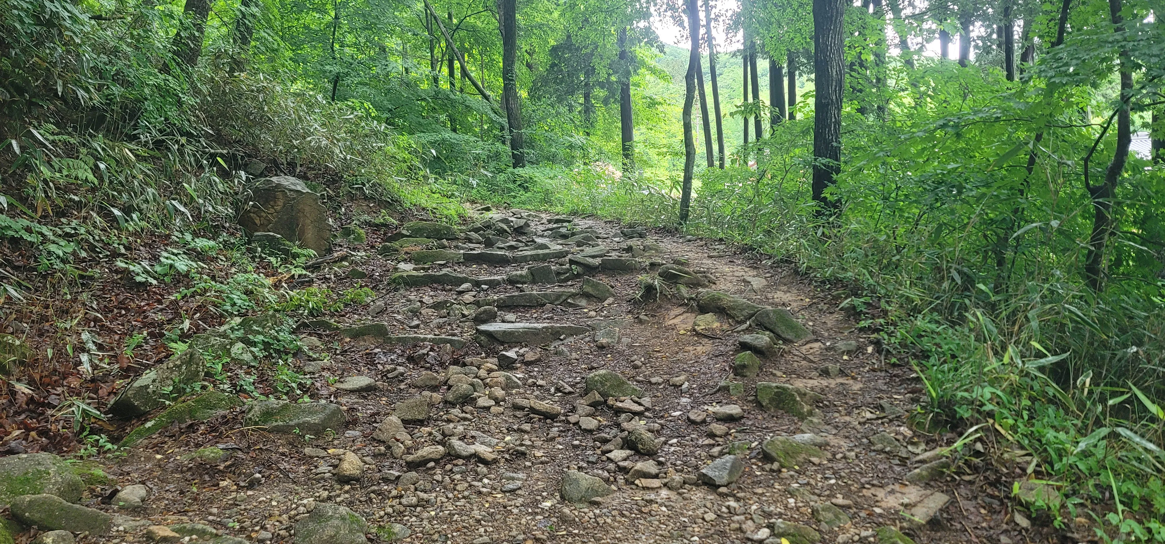 20260527_105358.jpg.webp