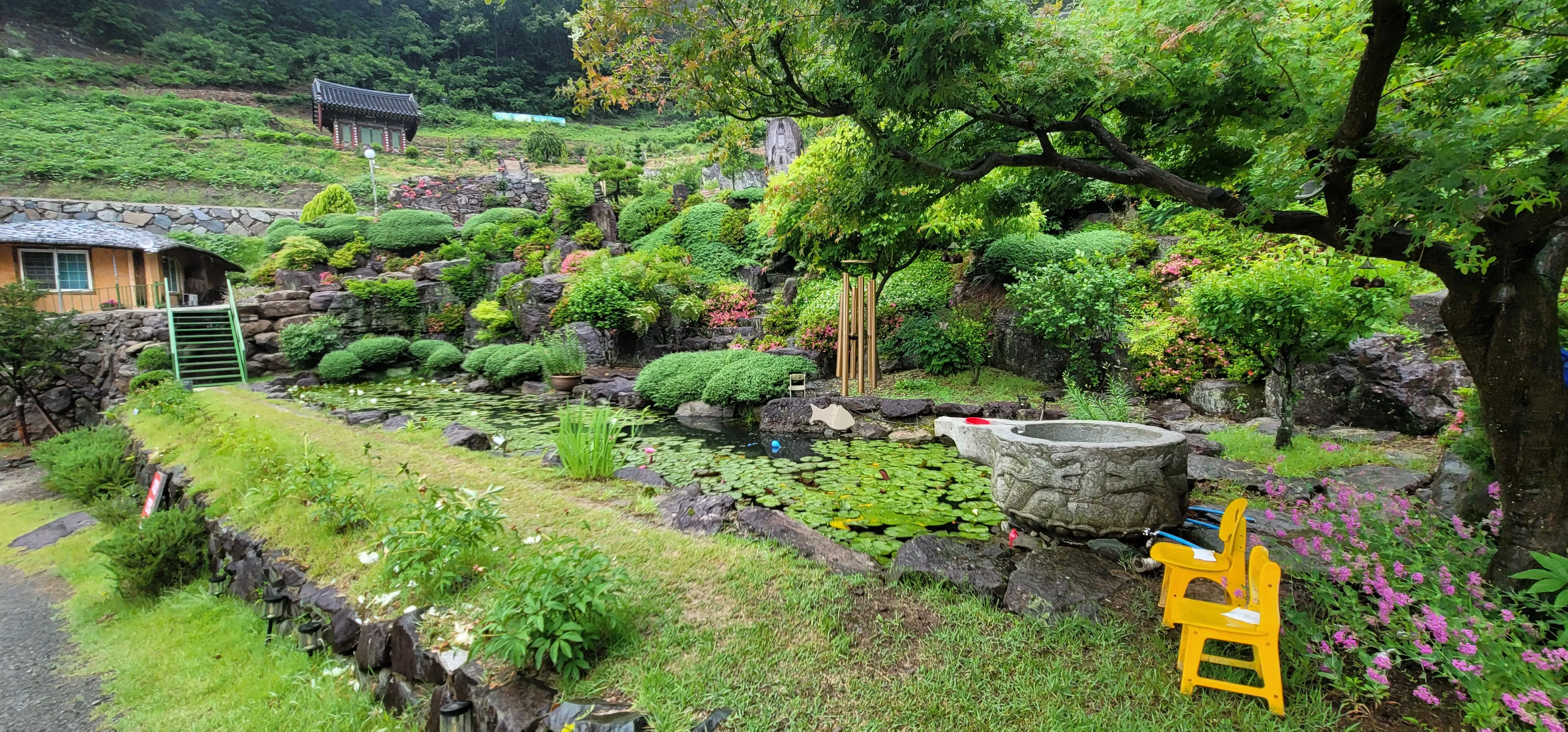 20260527_131323.jpg.webp