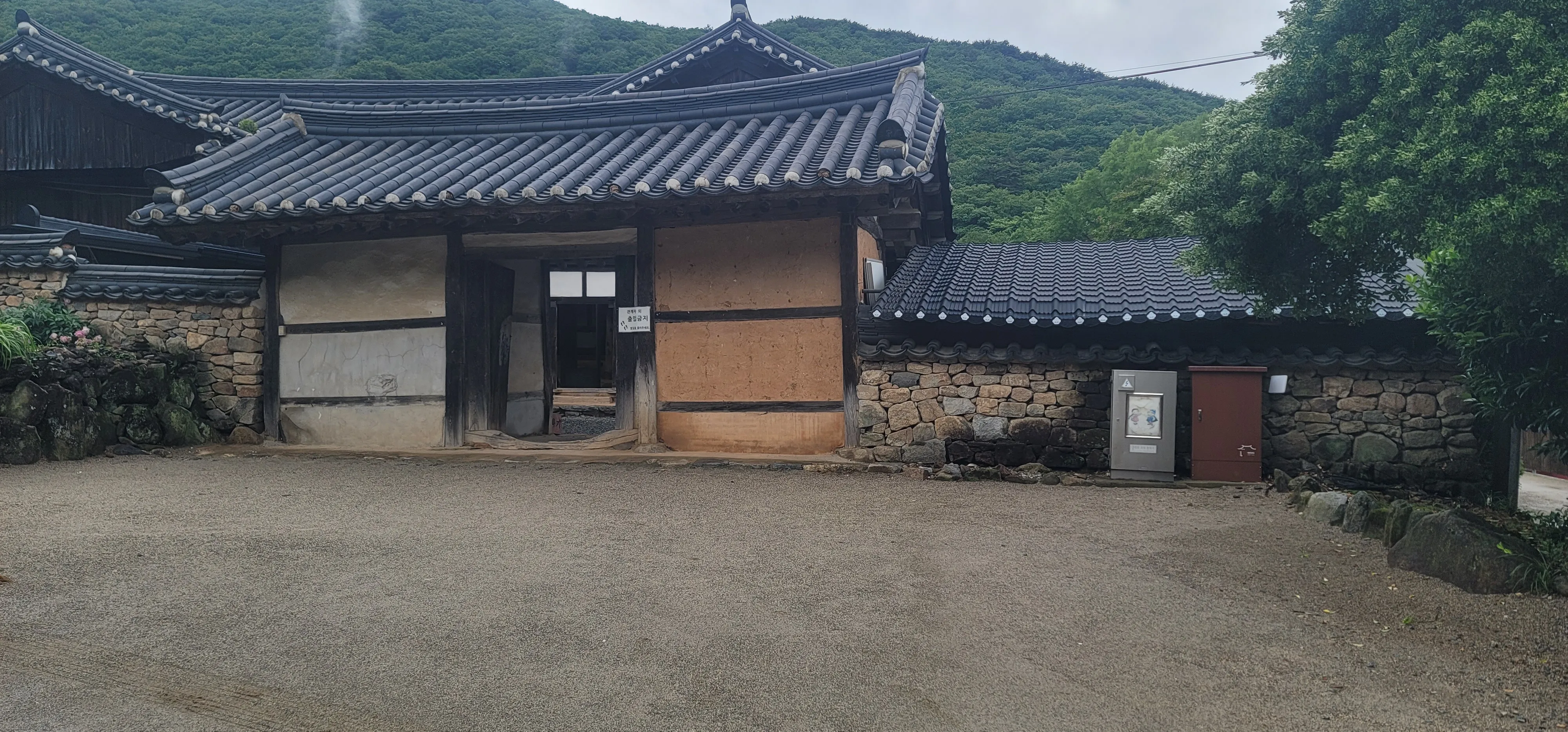 20260527_105652.jpg.webp
