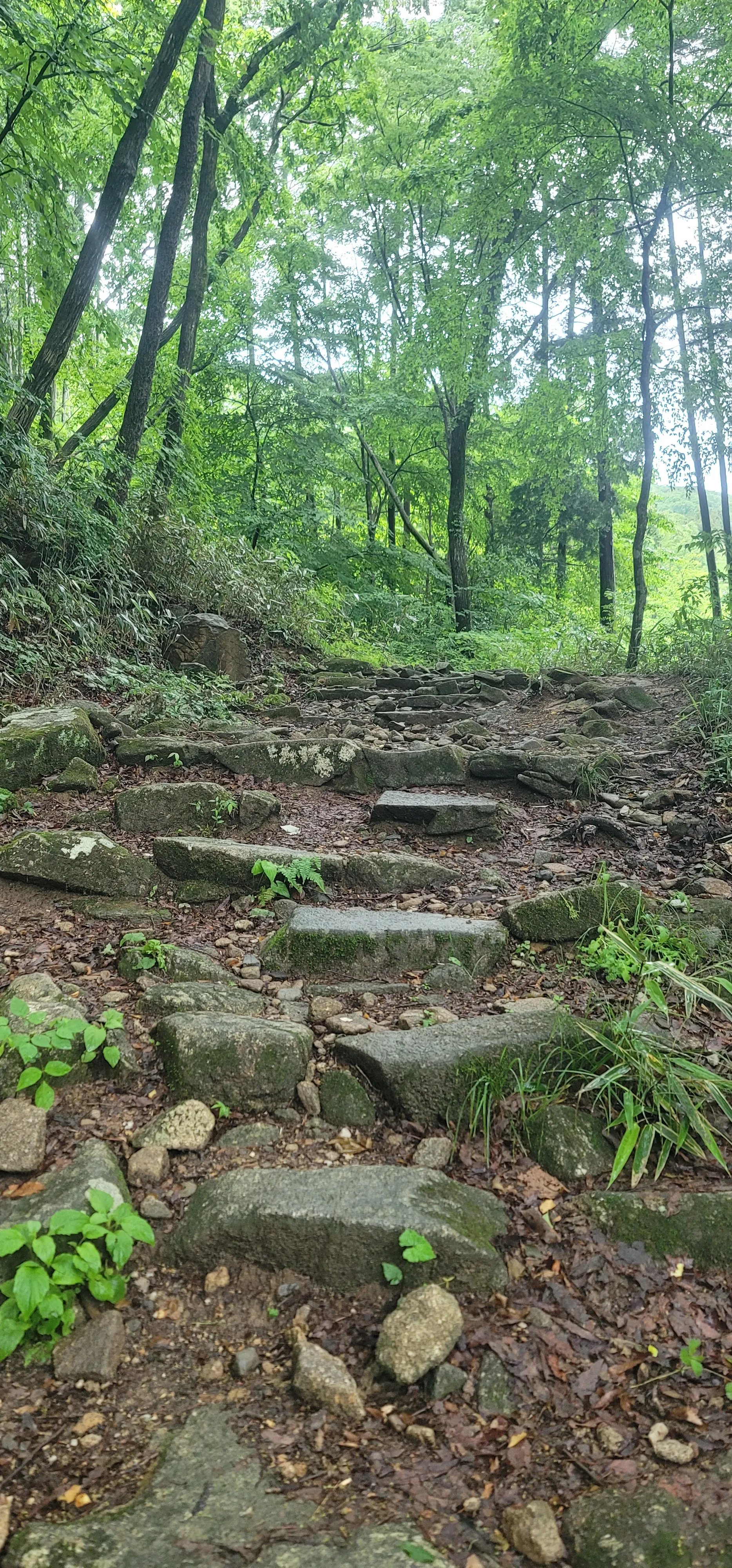 20260527_105341.jpg.webp
