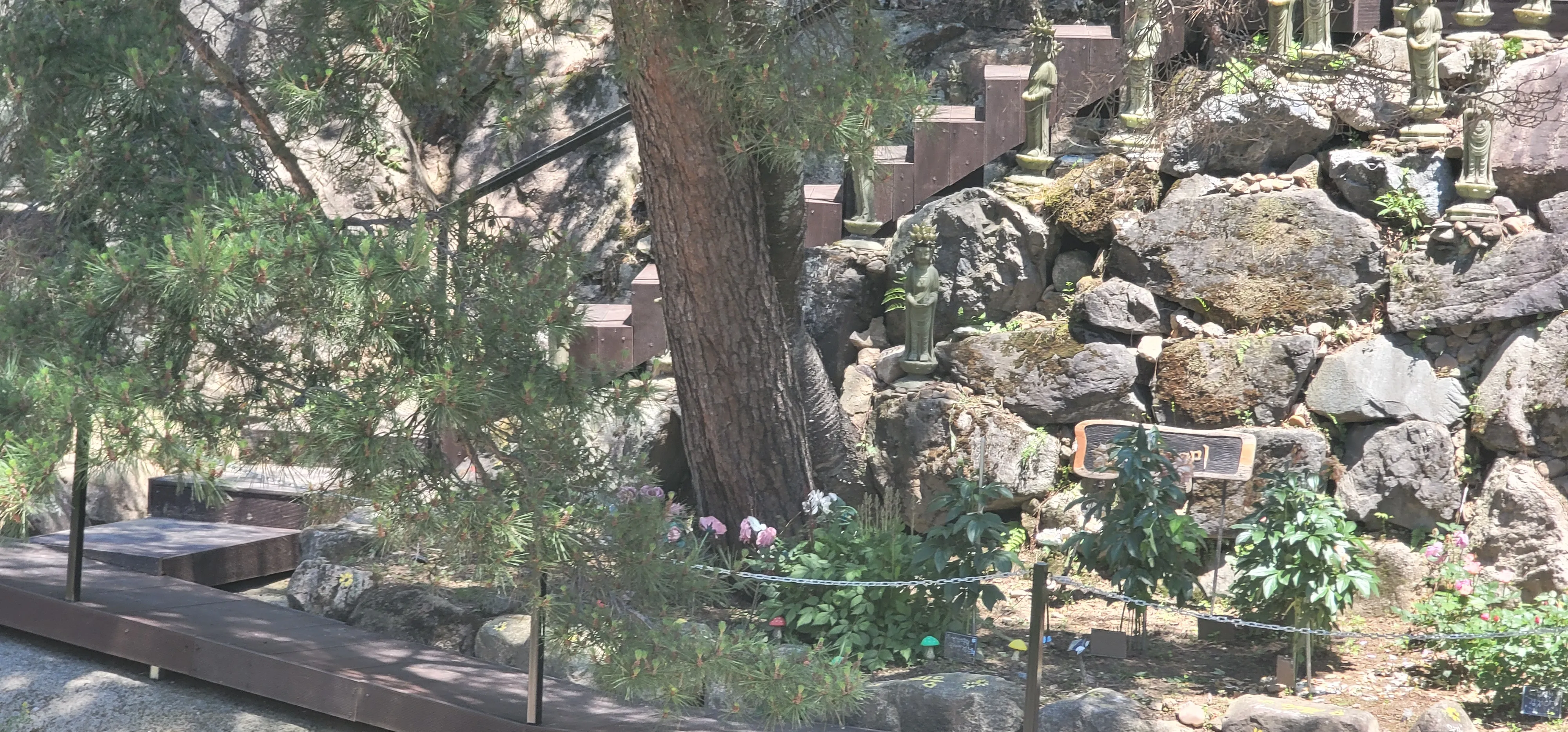 20260531_130106.jpg.webp