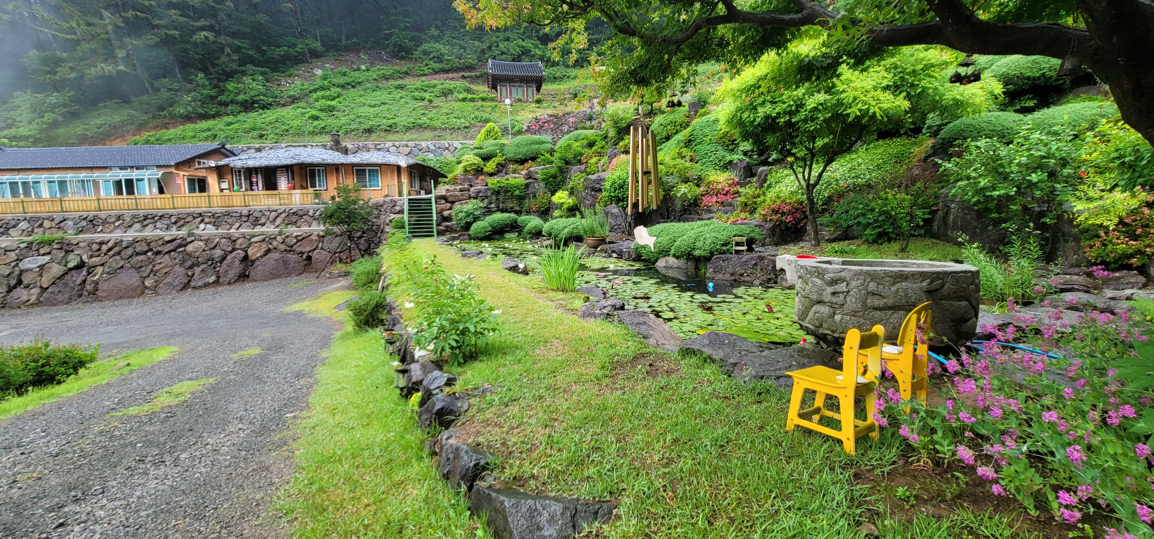 20260527_131337.jpg.webp