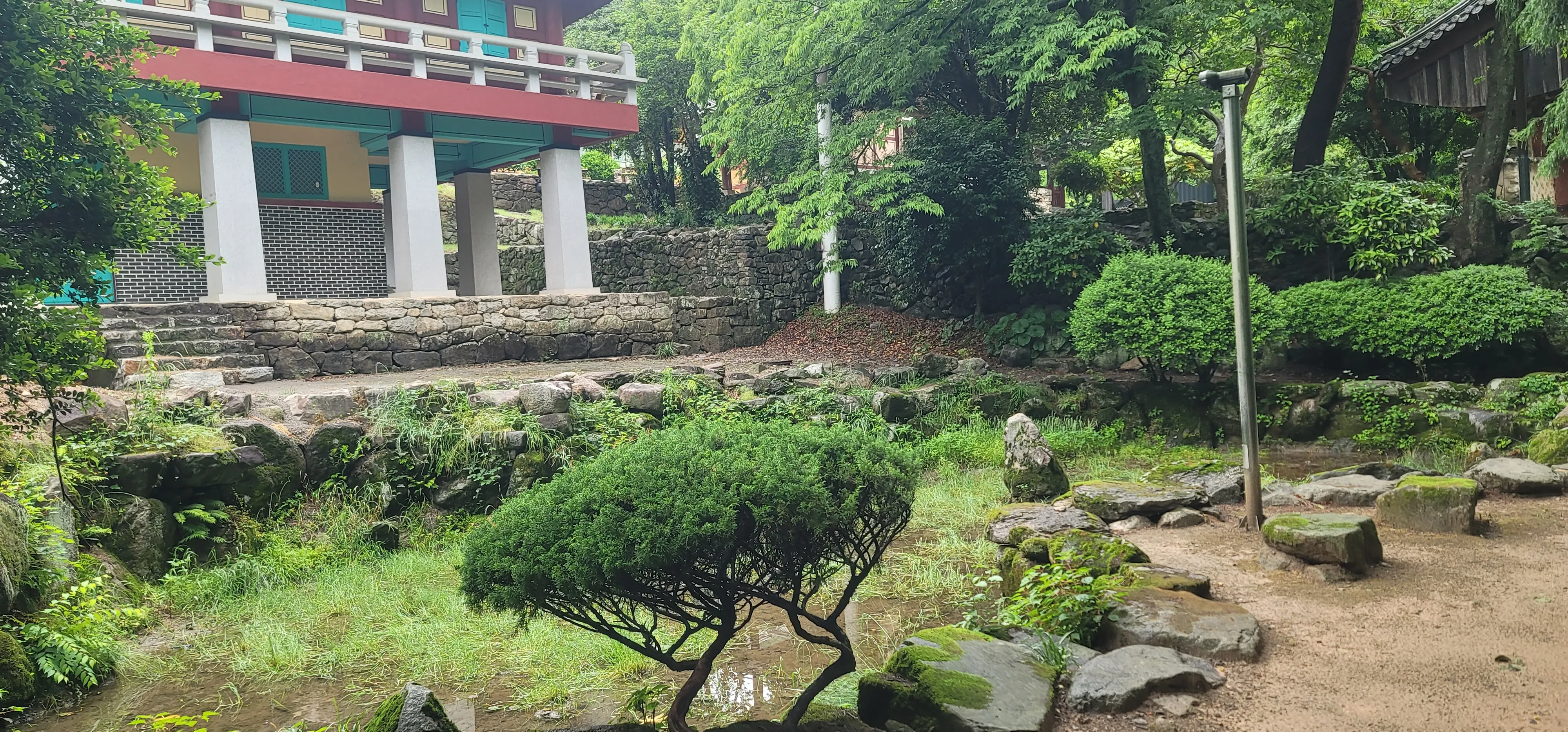 20260527_104929.jpg.webp