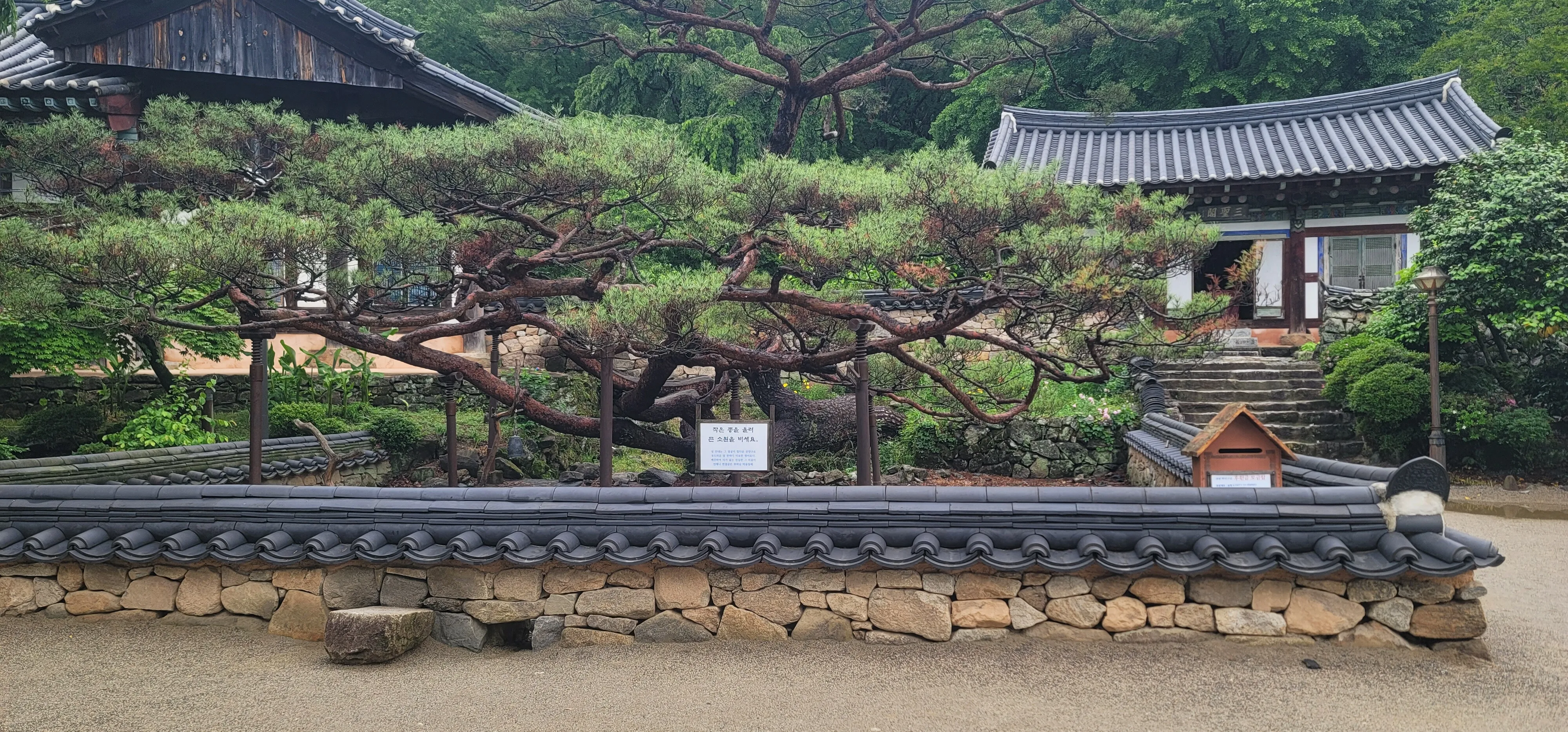 20260527_105755.jpg.webp