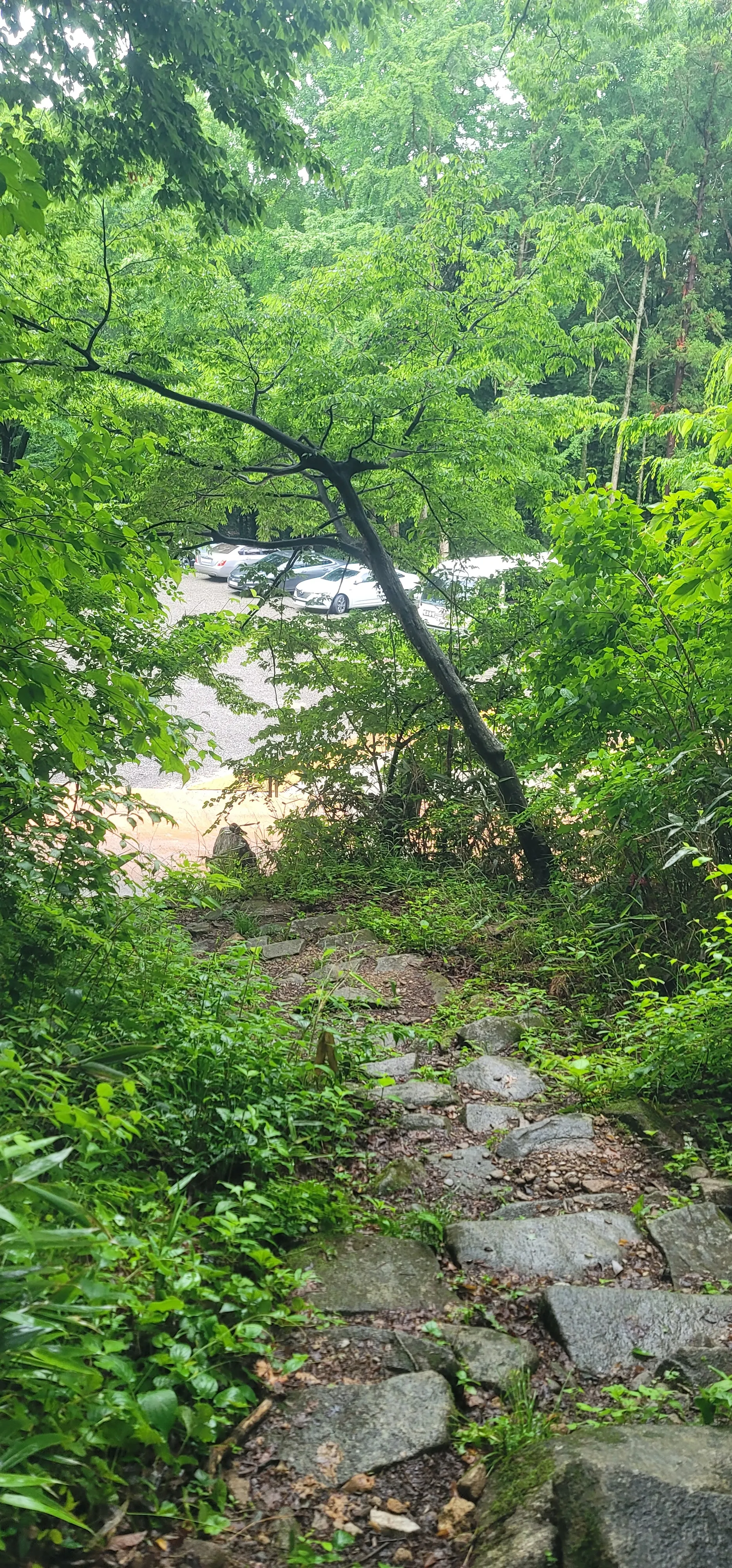 20260527_105344.jpg.webp