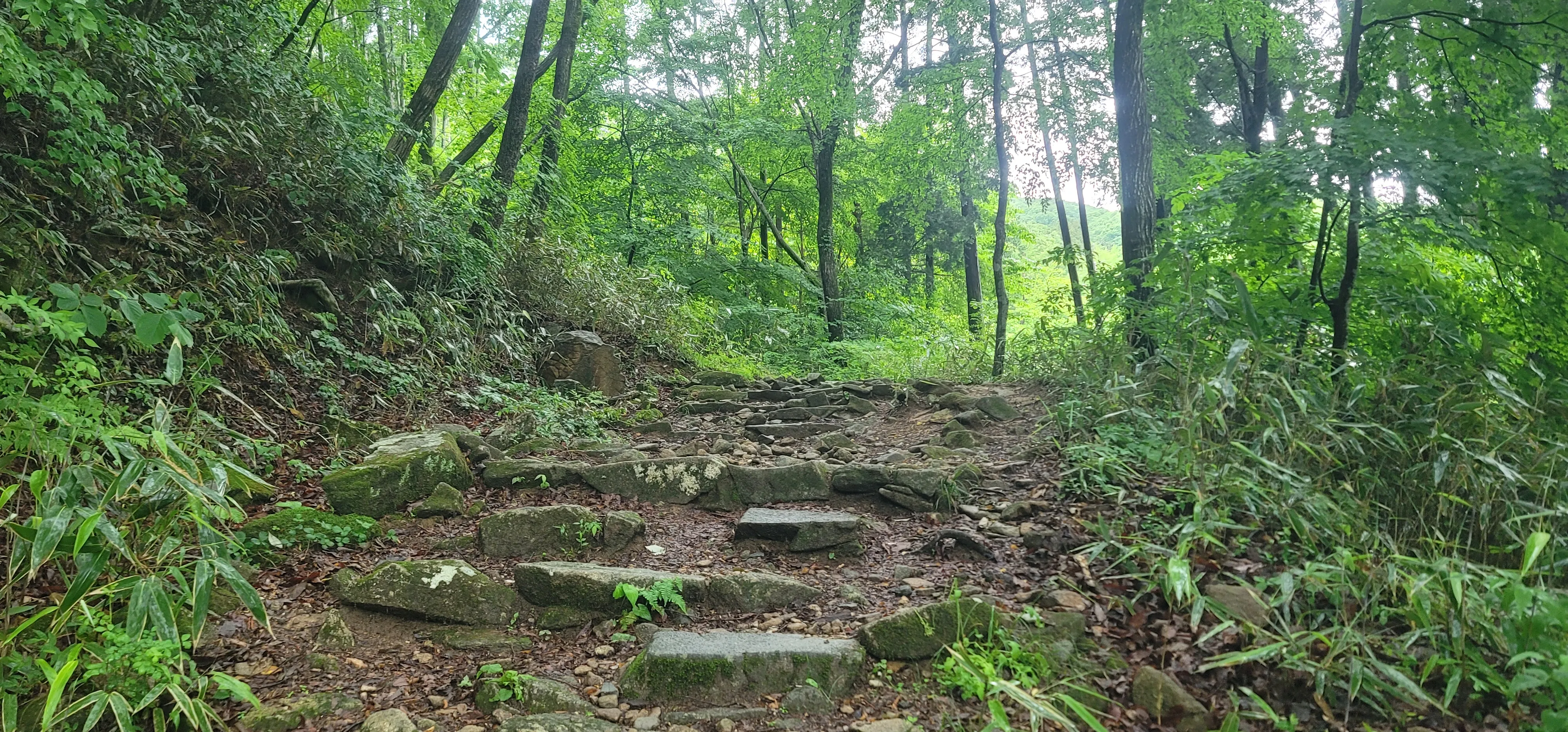 20260527_105348.jpg.webp