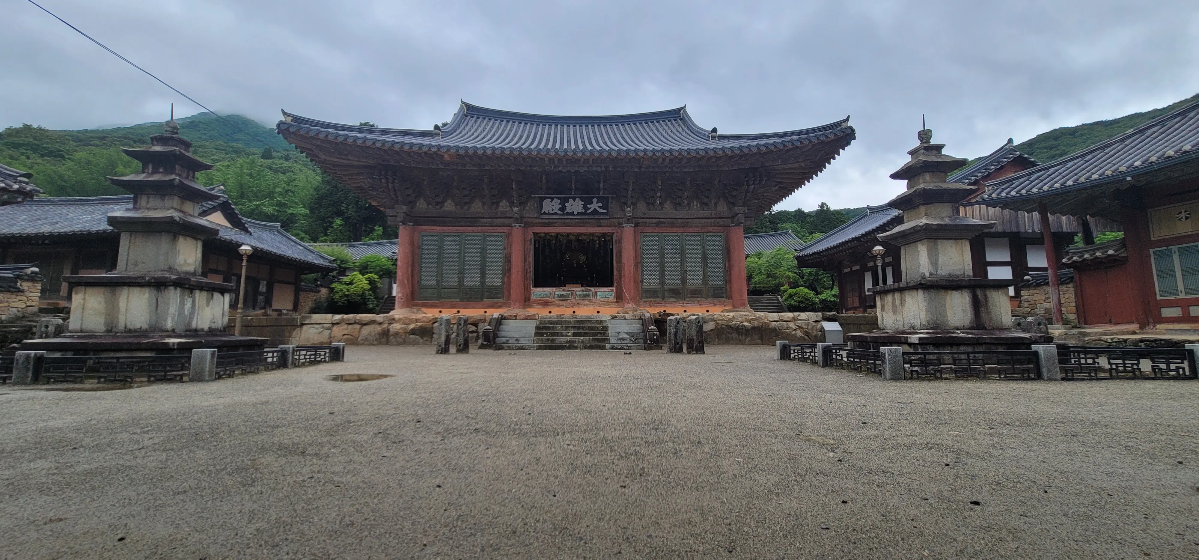 20260527_110501.jpg.webp