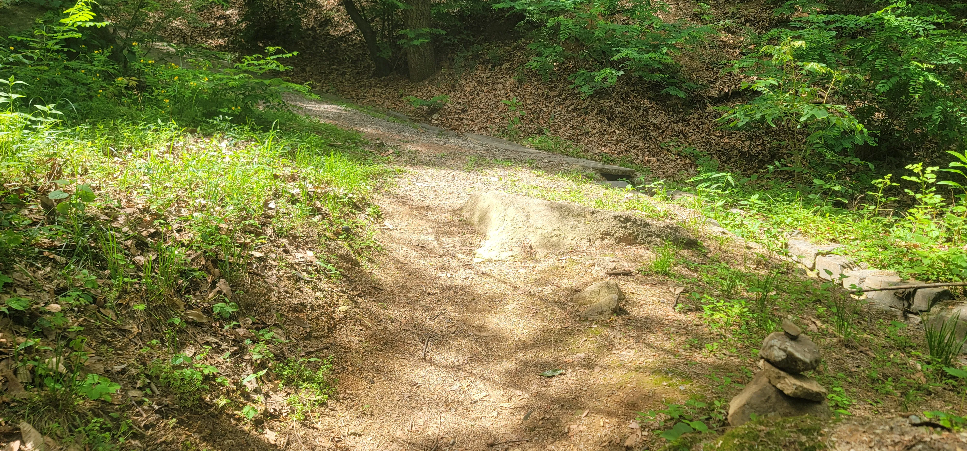 20260602_145404.jpg.webp