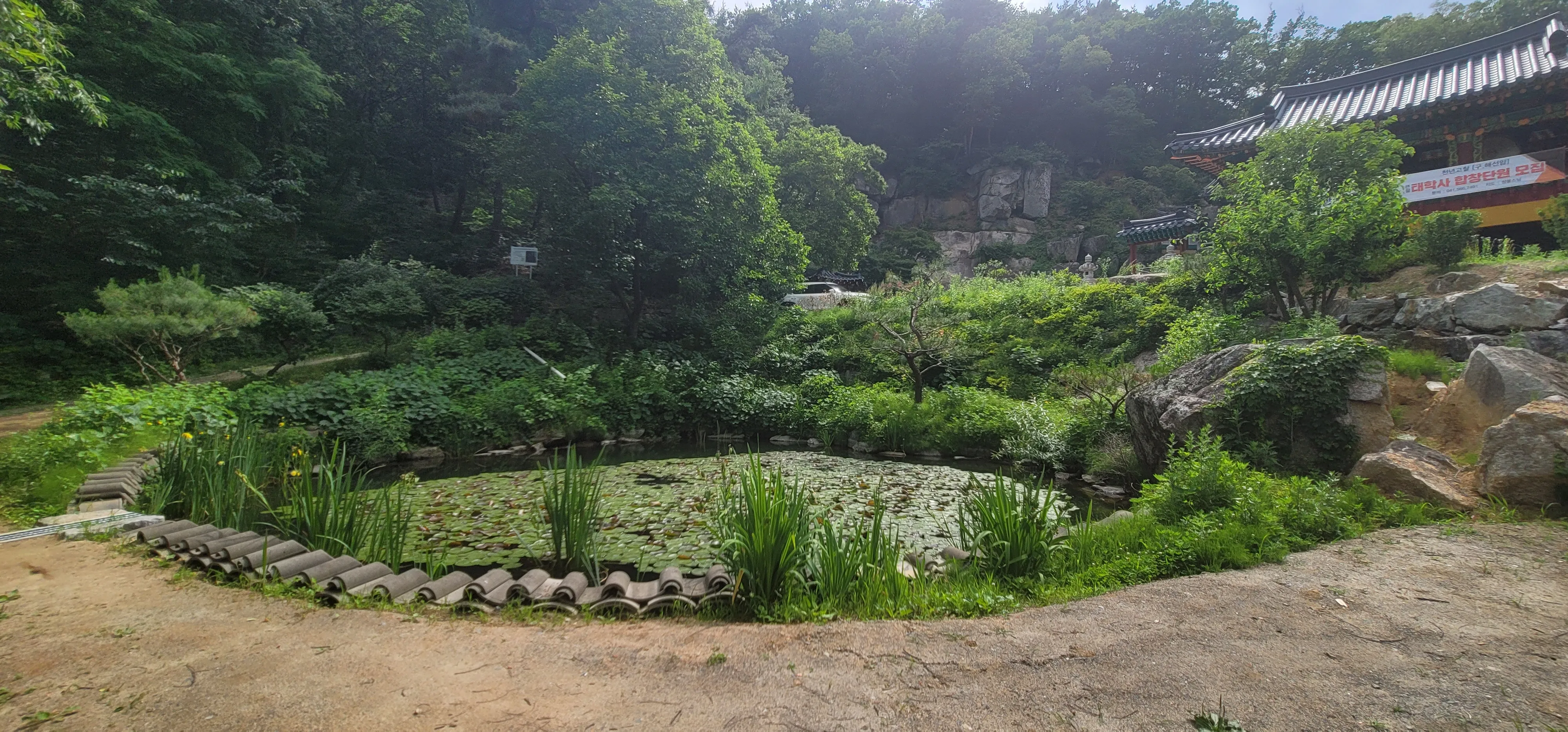 20260602_151348.jpg.webp