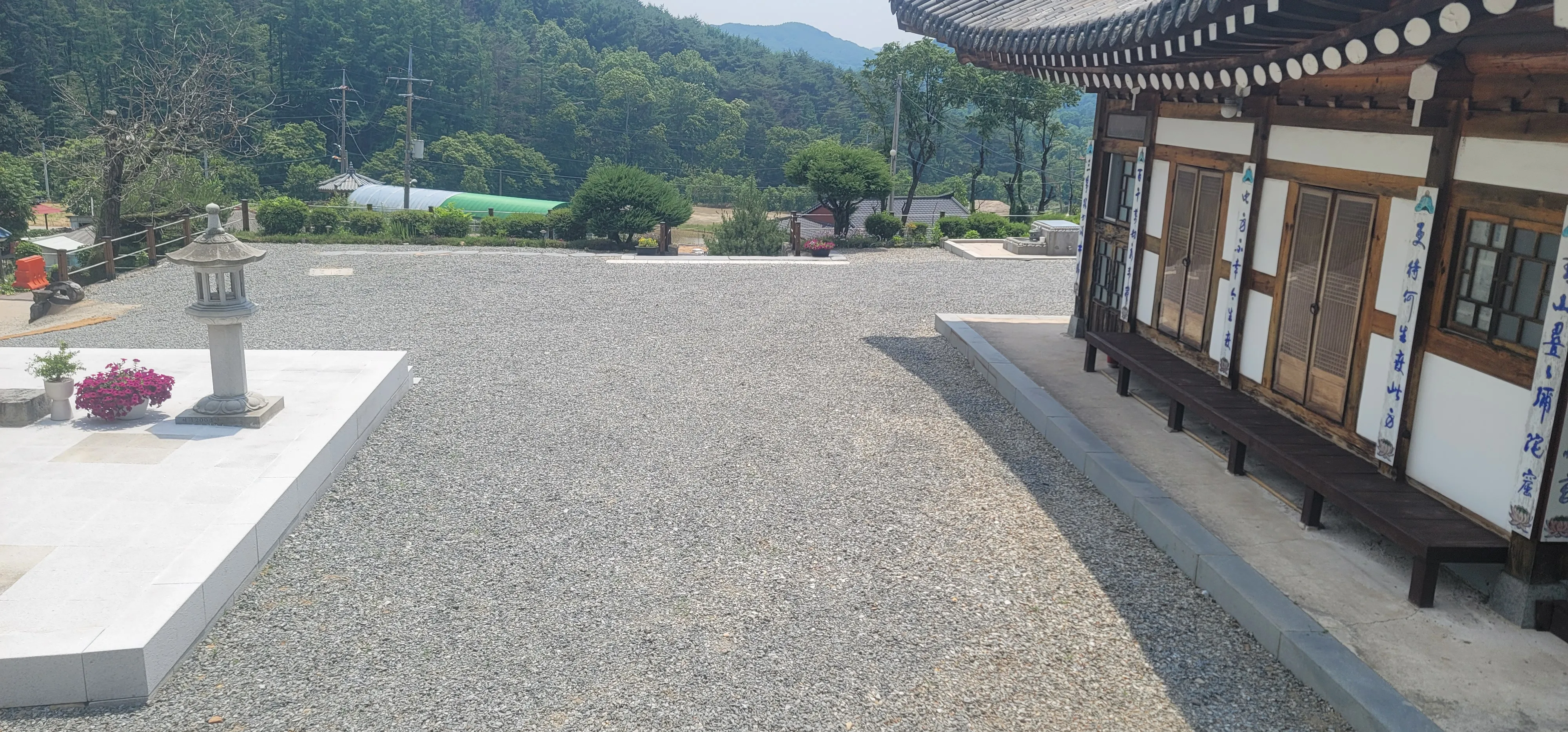 20260602_131253.jpg.webp