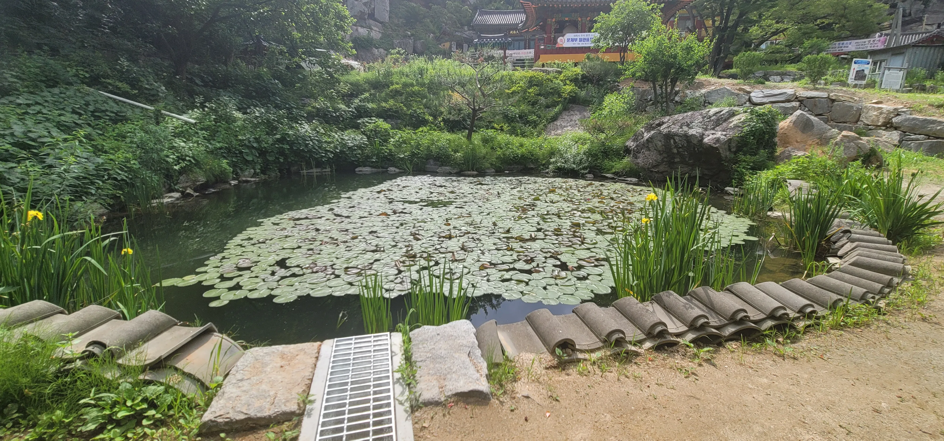 20260602_151338.jpg.webp