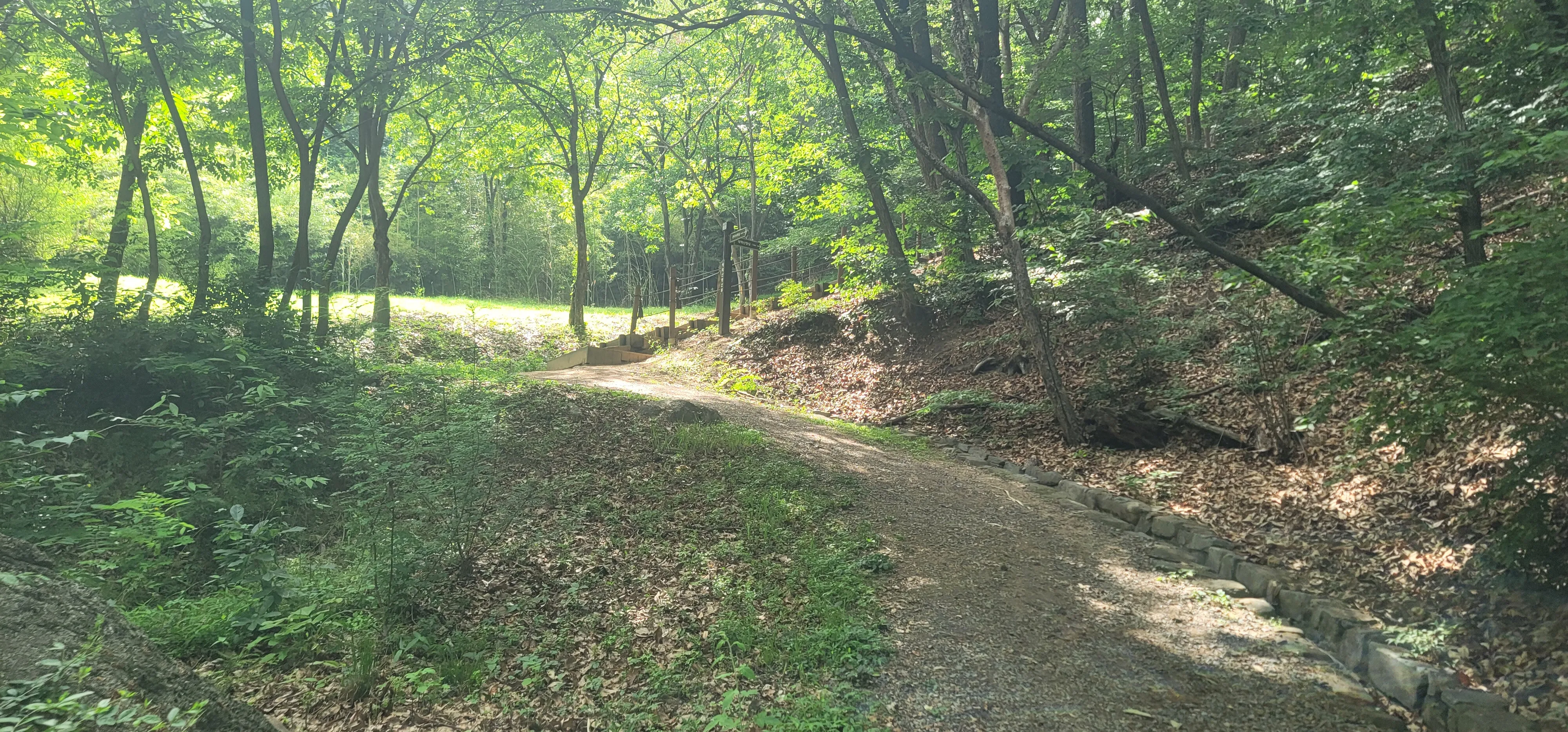 20260602_145412.jpg.webp