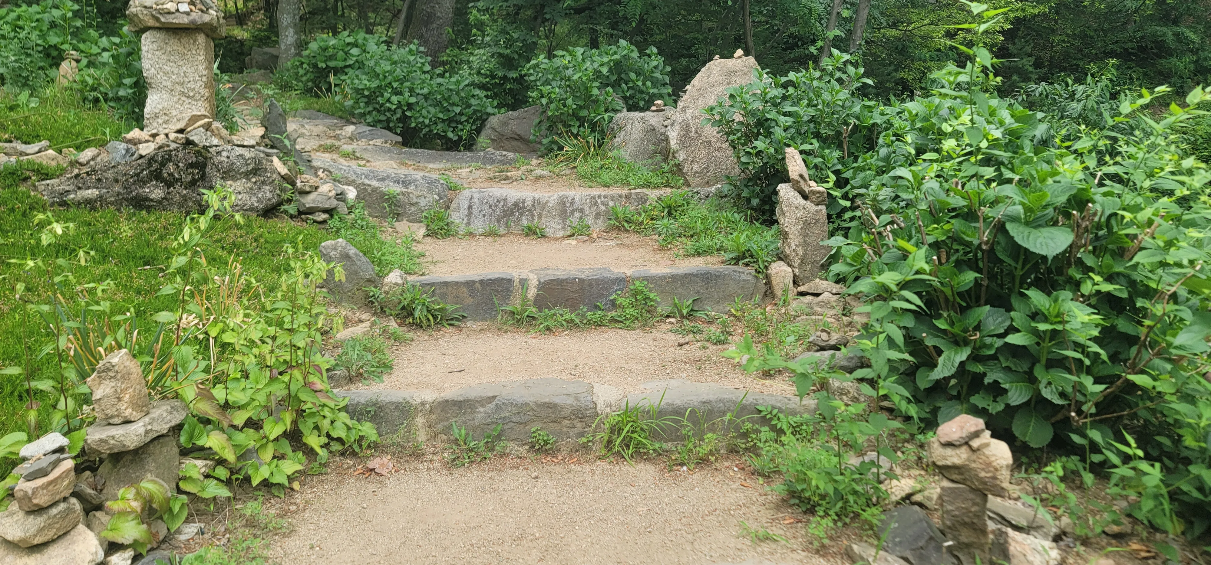 20260602_145311.jpg.webp