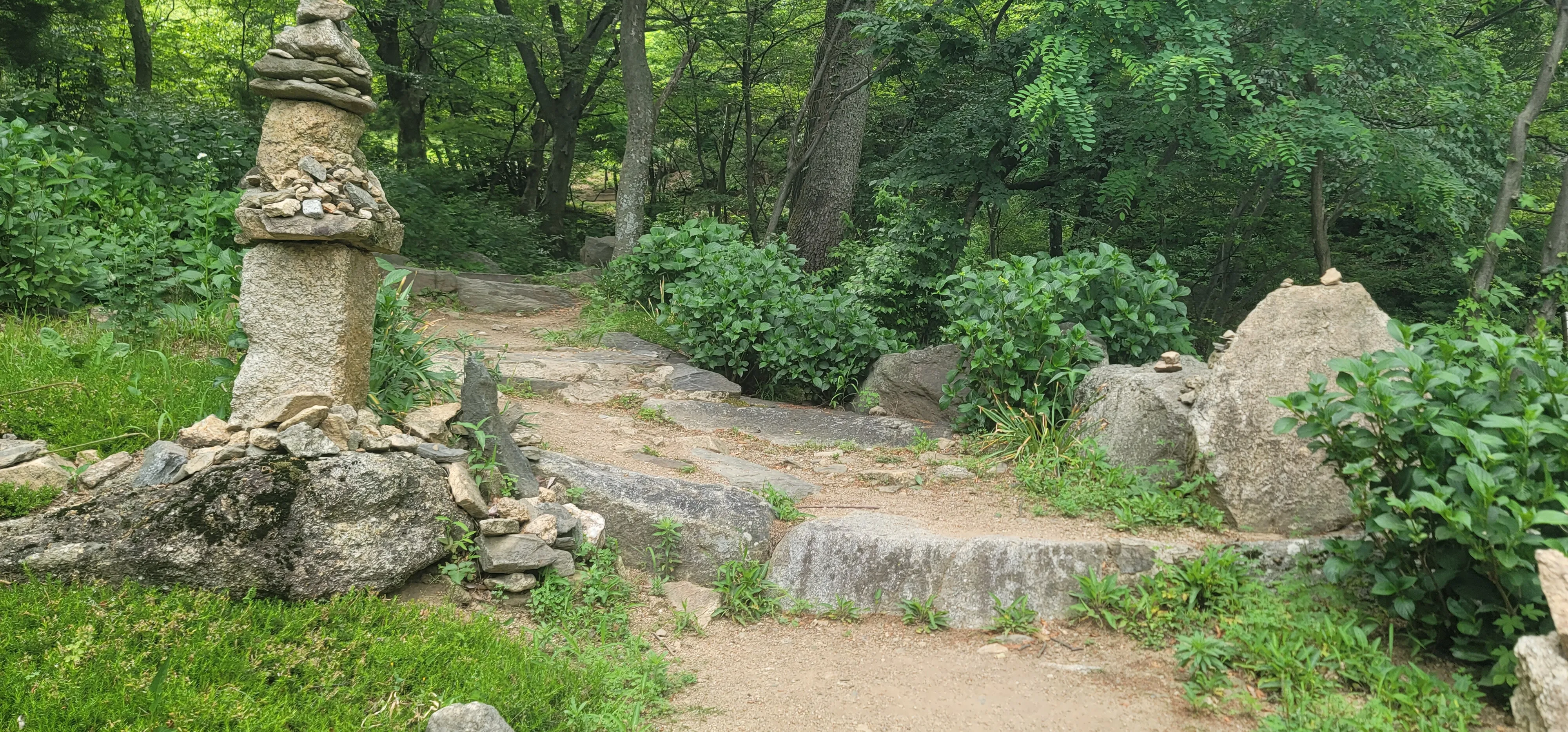 20260602_145313.jpg.webp