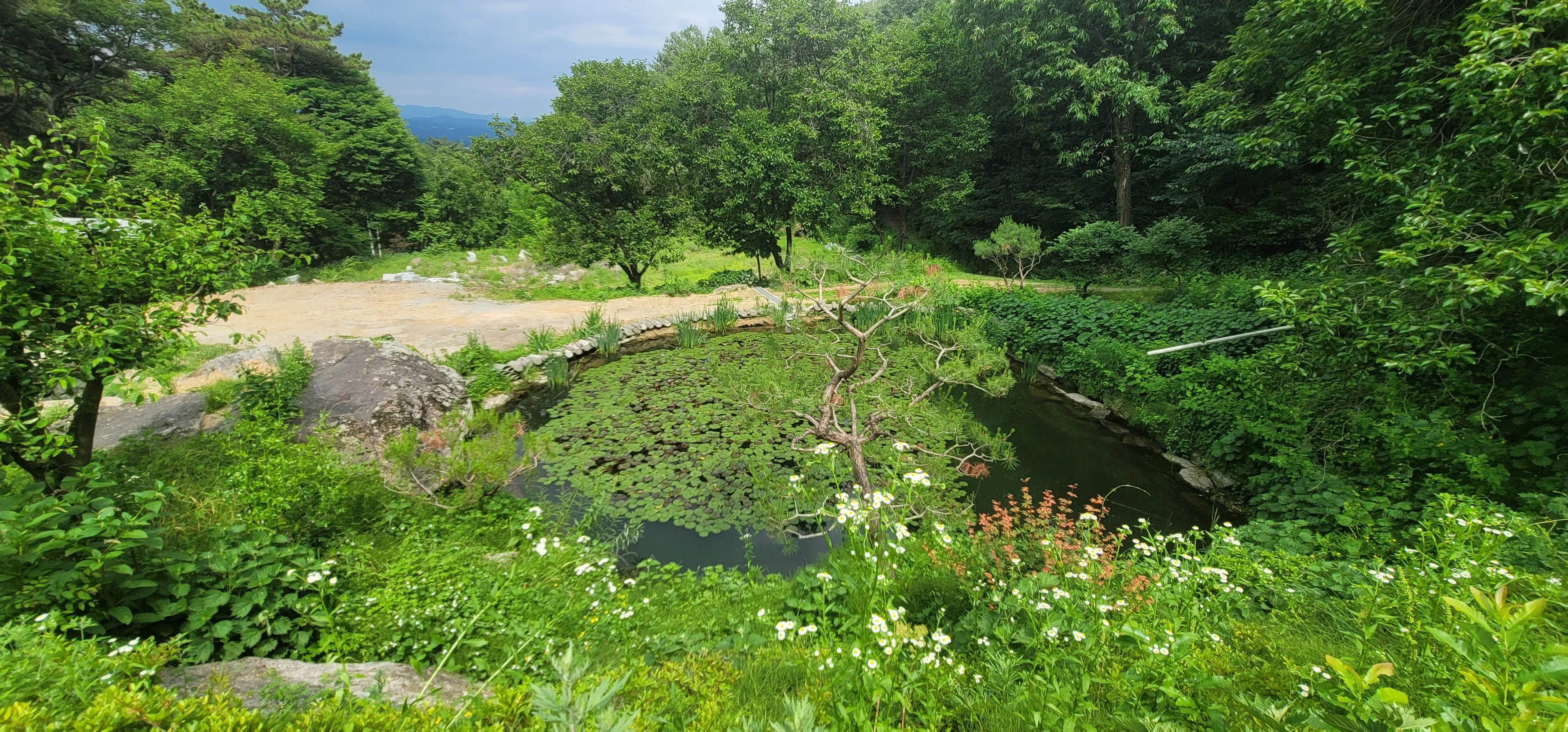 20260602_151237.jpg.webp