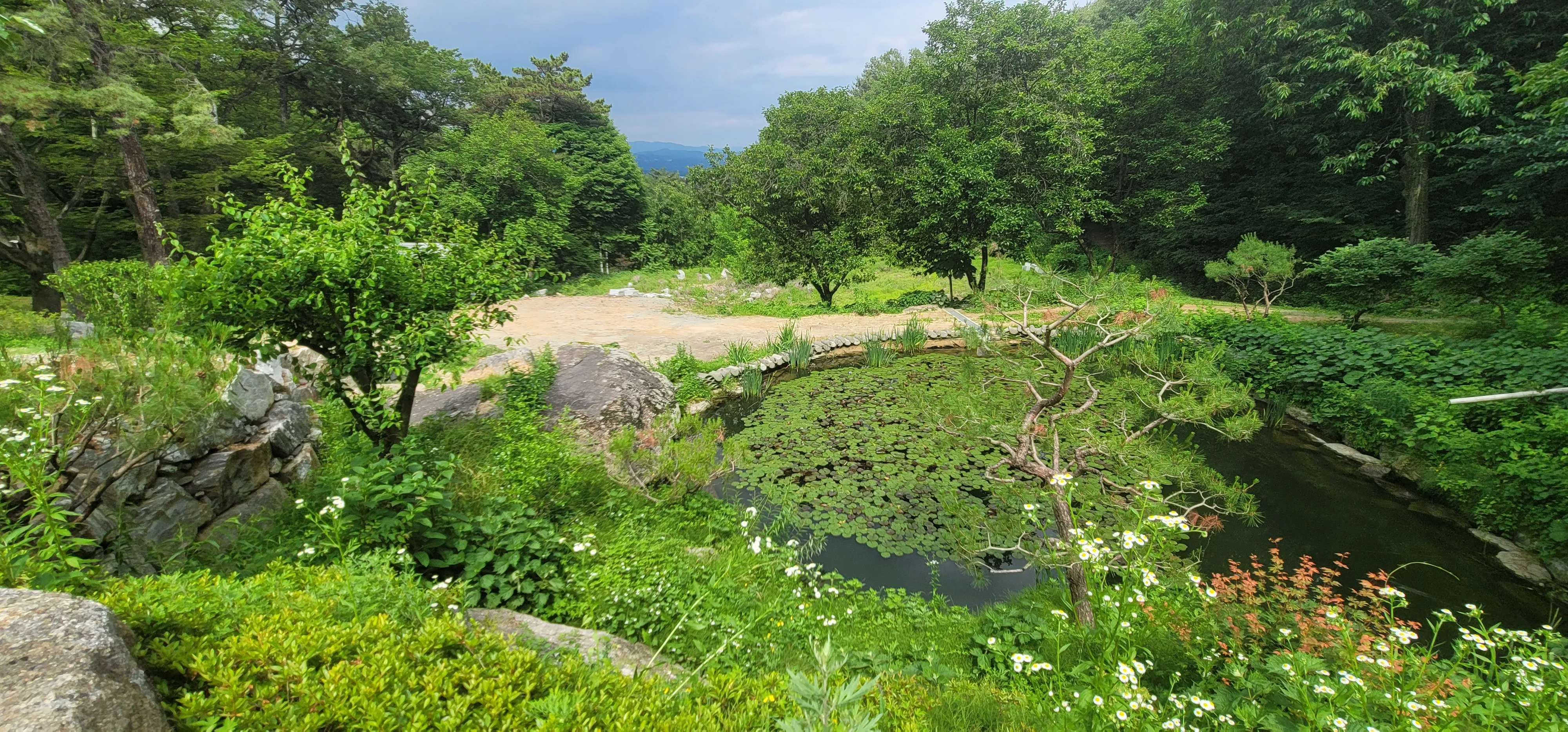 20260602_151239.jpg.webp