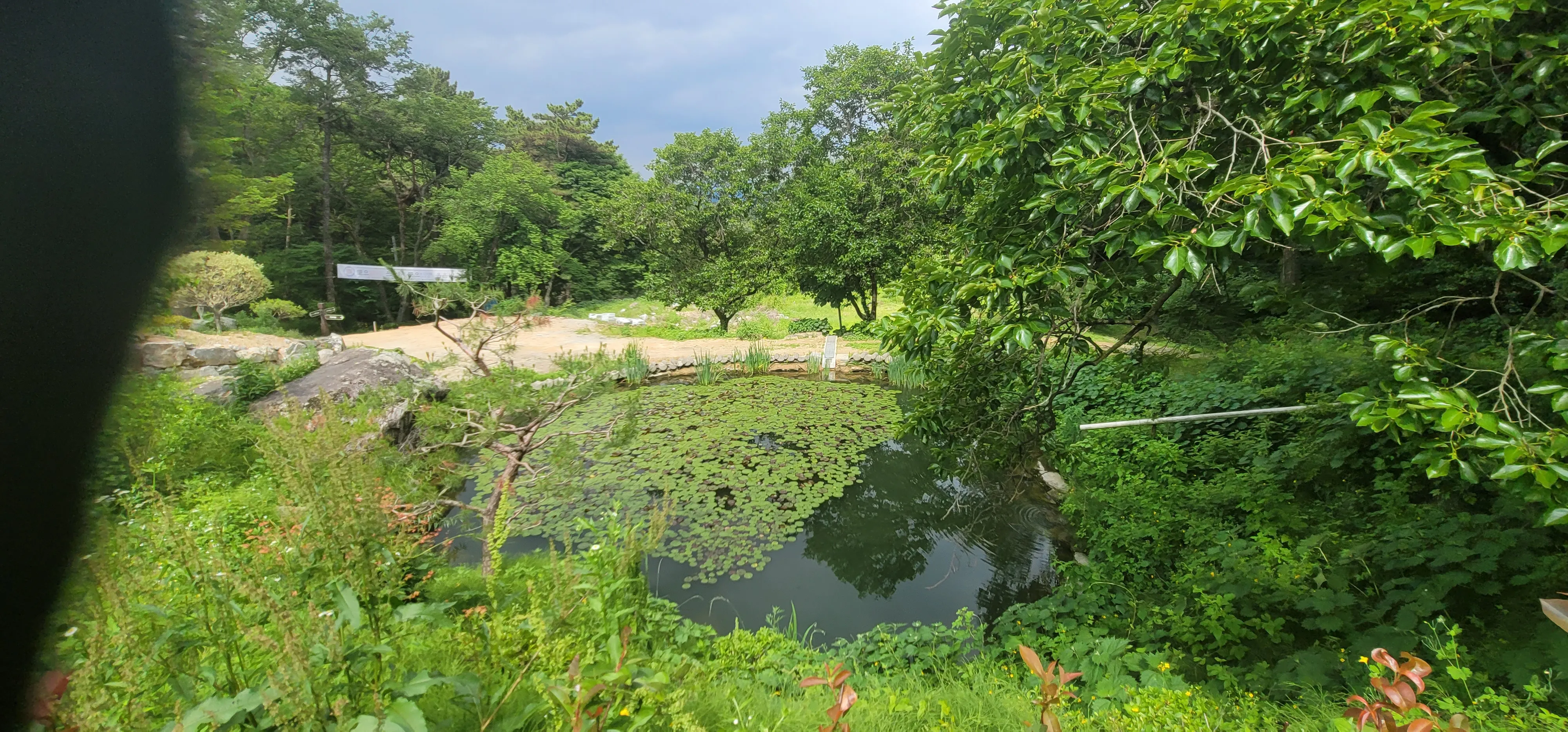 20260602_151256.jpg.webp