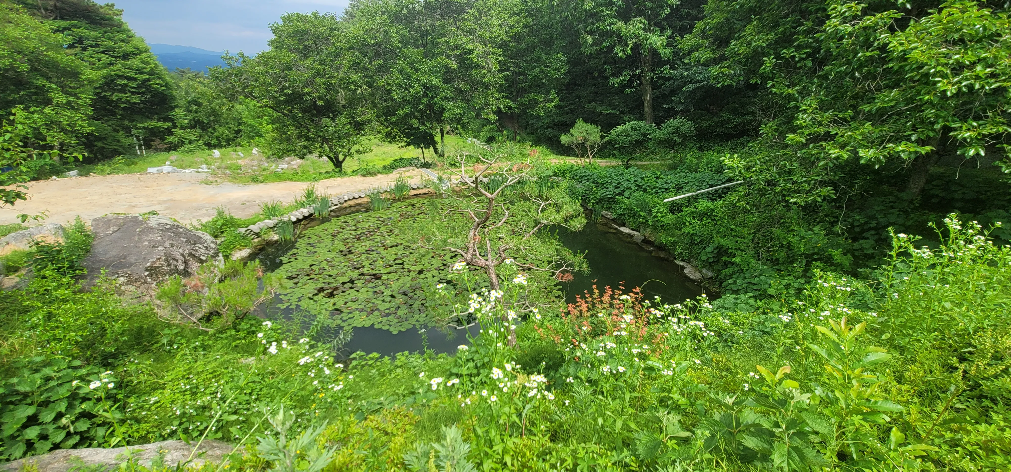 20260602_151235.jpg.webp