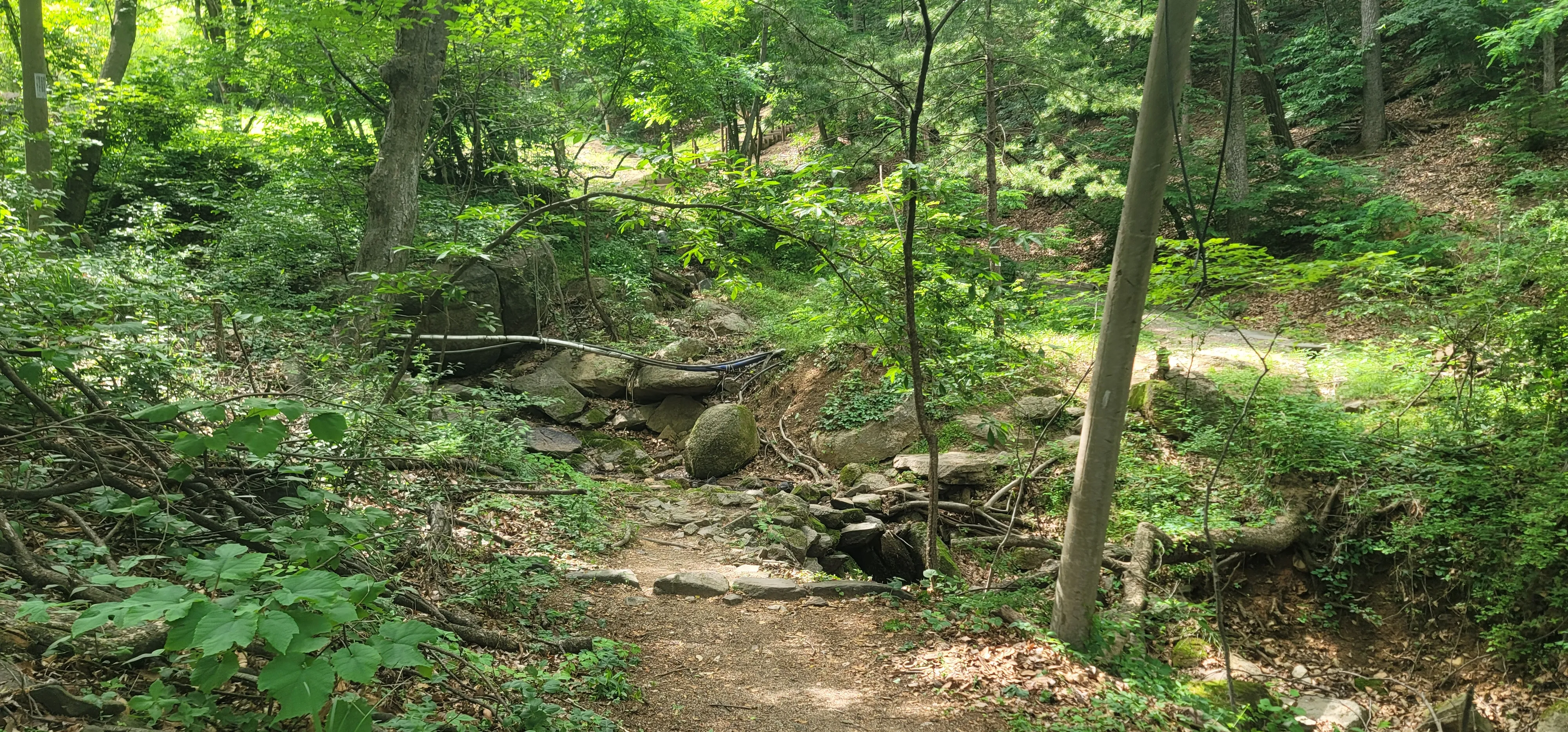 20260602_145345.jpg.webp