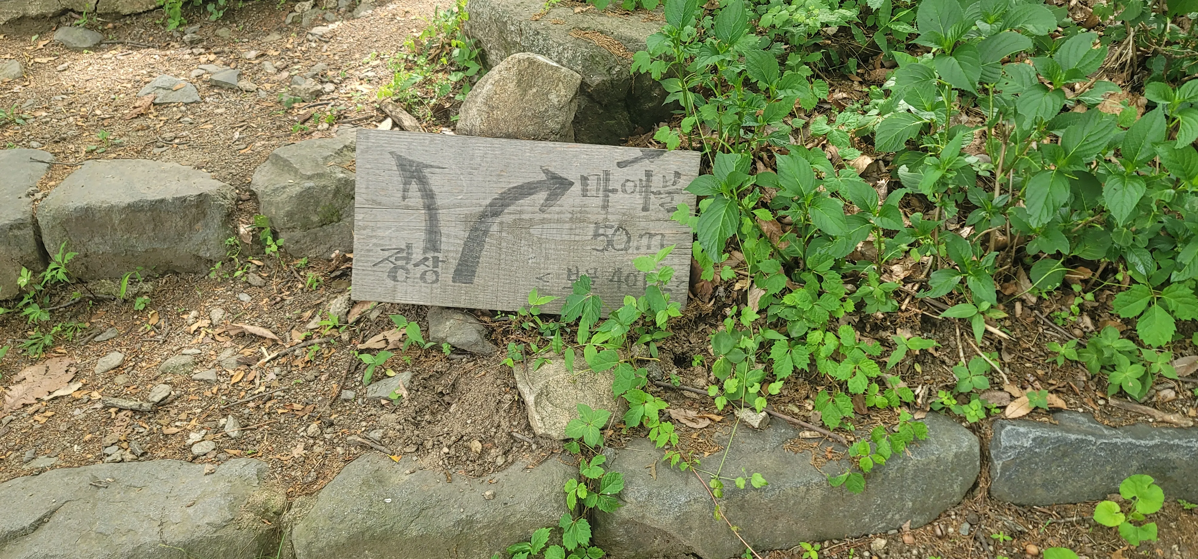 20260602_145336.jpg.webp