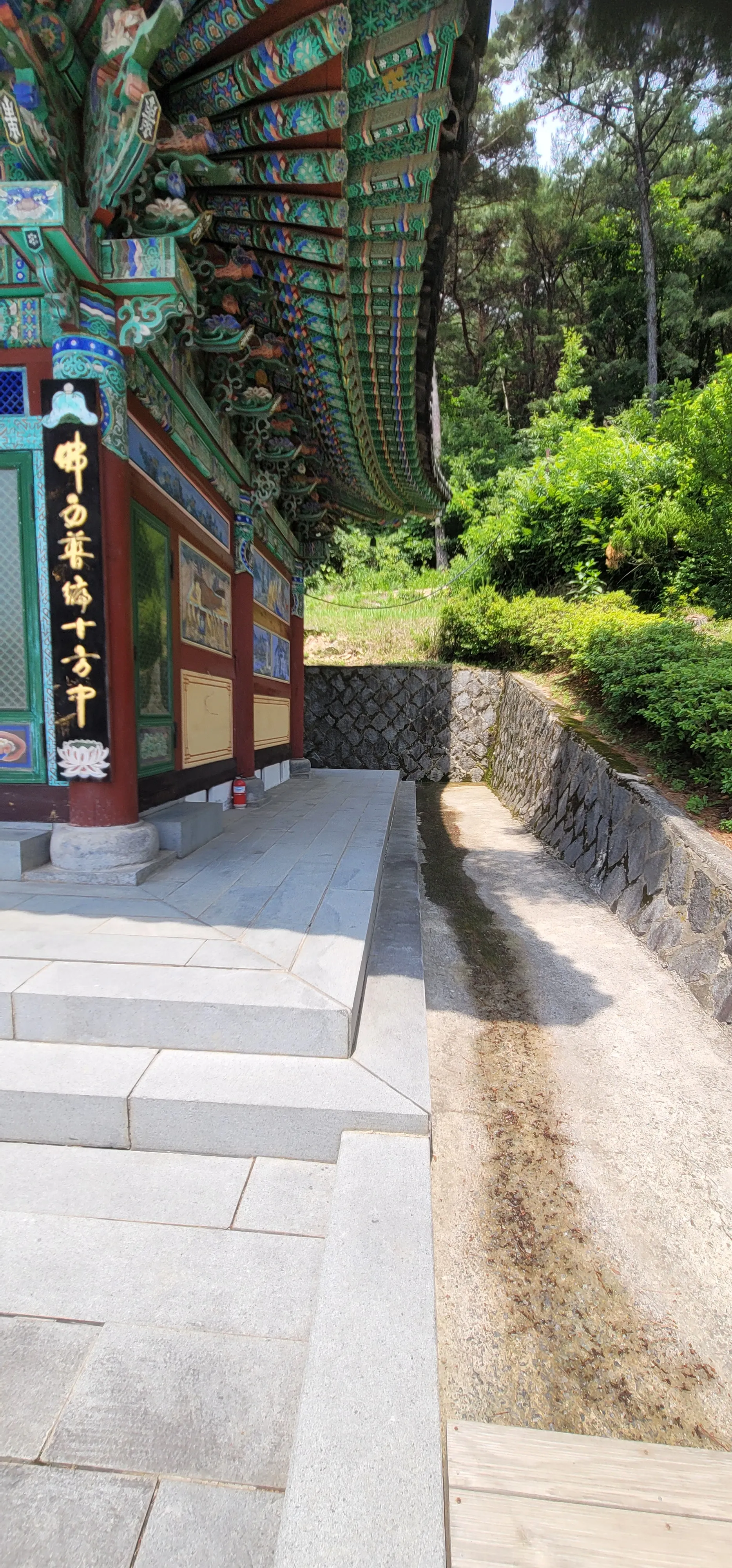 20260602_131209.jpg.webp