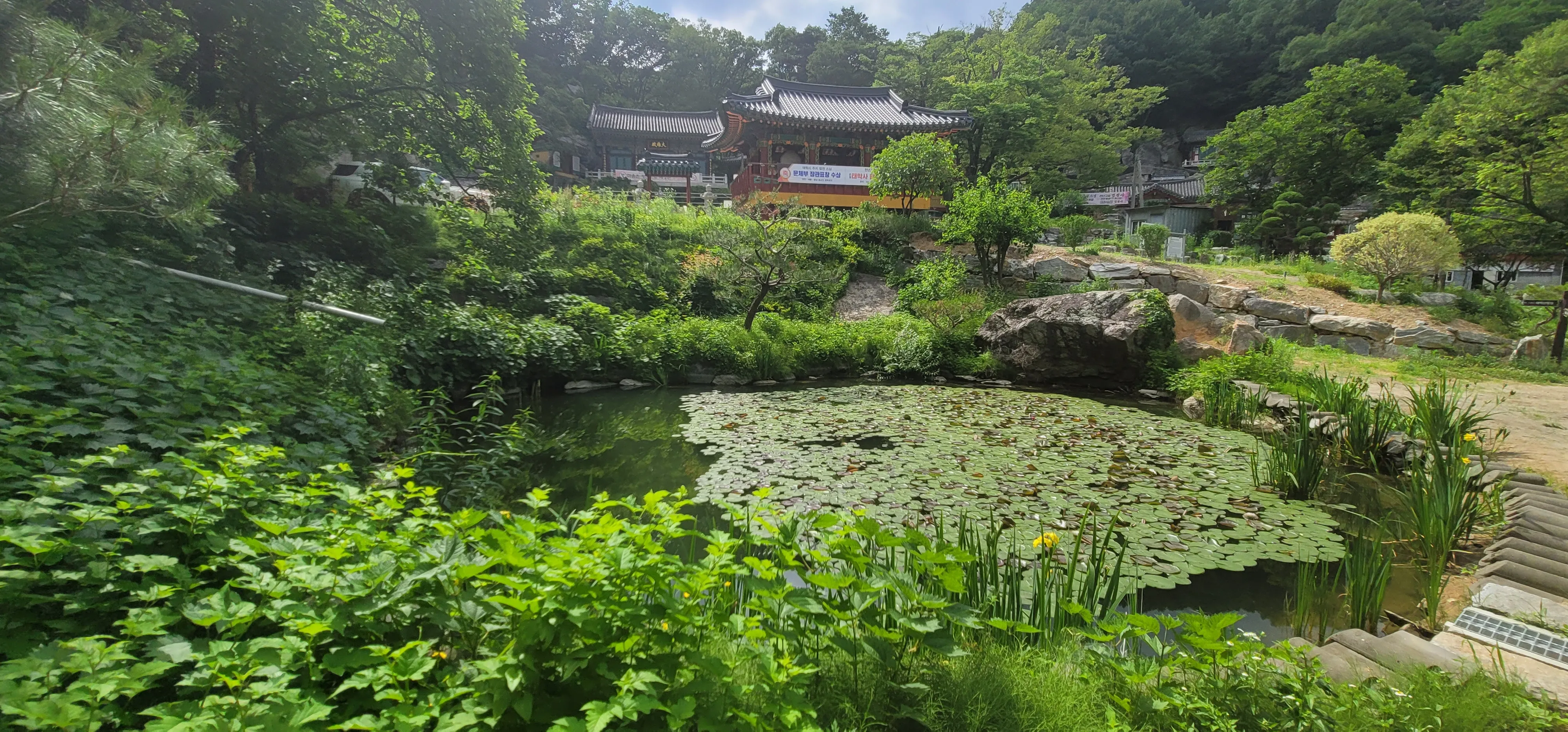 20260602_151328.jpg.webp