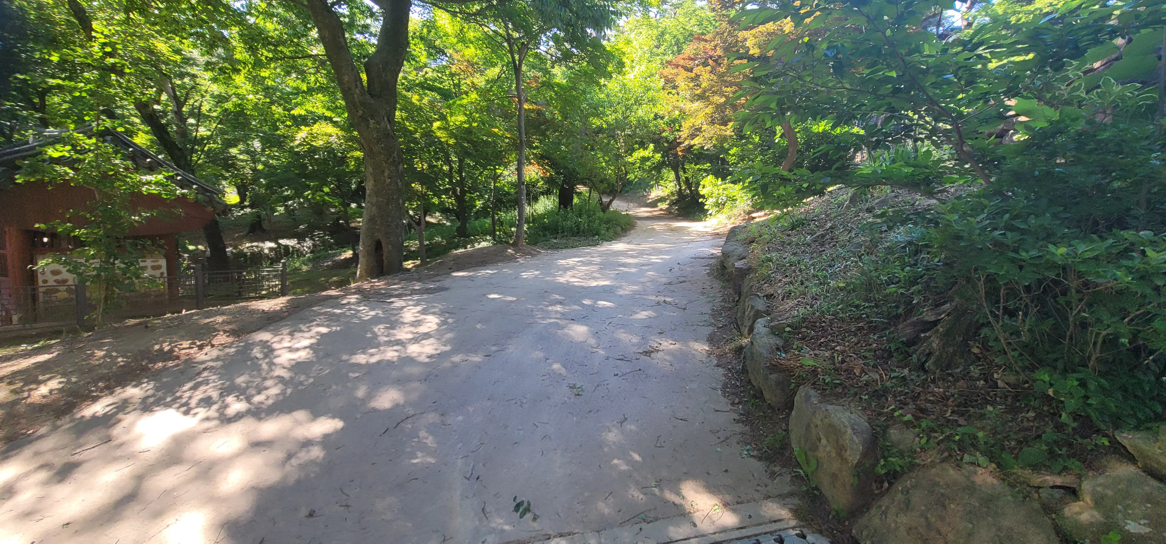 20260605_154449.jpg.webp