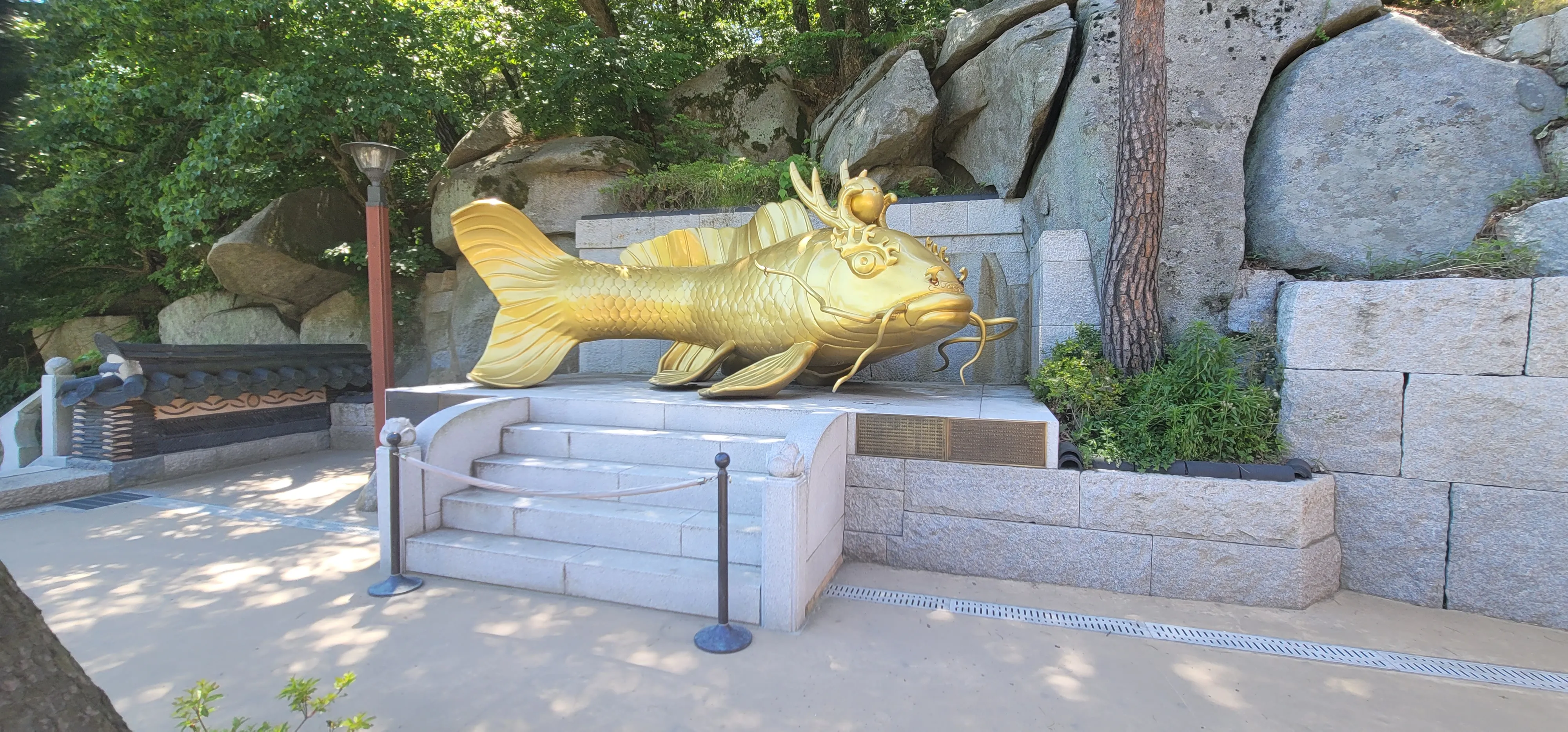 20260605_144118.jpg.webp