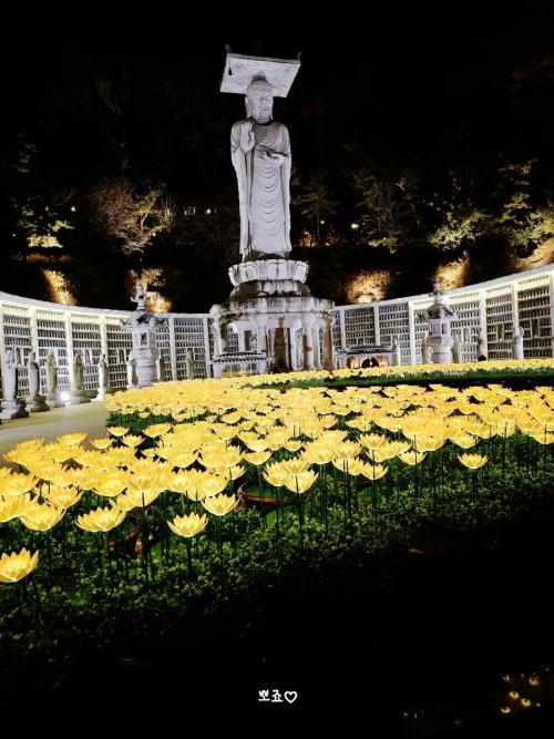 봉은사 미륵 광장 LED 연꽃