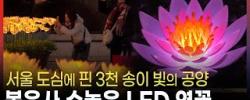 "빛으로 올린 공양"…봉은사, LED 연꽃으로 물들다 -BBS NEWS