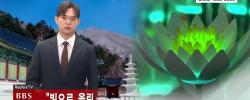 "빛으로 올린 공양"…봉은사, LED 연꽃으로 물들다 -BBS NEWS