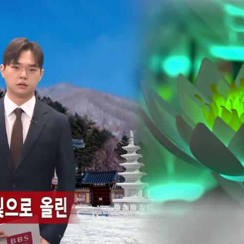 "빛으로 올린 공양"…봉은사, LED 연꽃으로 물들다 -BBS NEWS