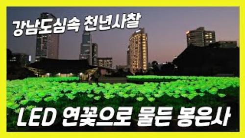 LED 연꽃으로 물든 강남 도심속 천년 사찰🏵️봉은사 | Bongeunsa Temple, a thousand-year-old temple in the heart of Gangnam -아디오스일락