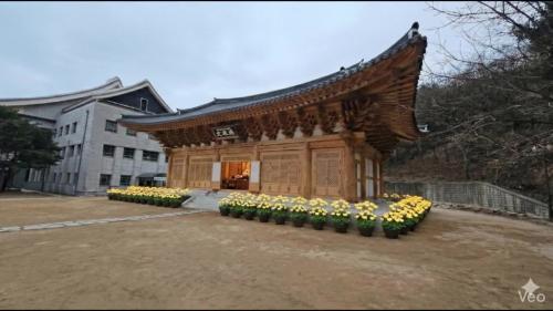 승가대학교 임시 AI편집 영상.