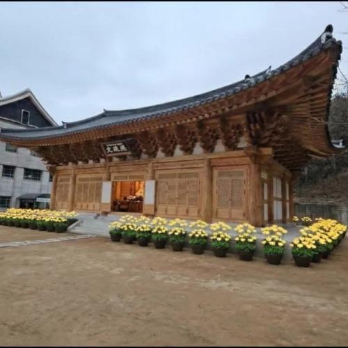 승가대학교 임시 AI편집 영상.