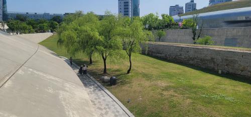 부처님 오신날 동대문DDP 행사 준비 (2026년 5월 15일~16일)