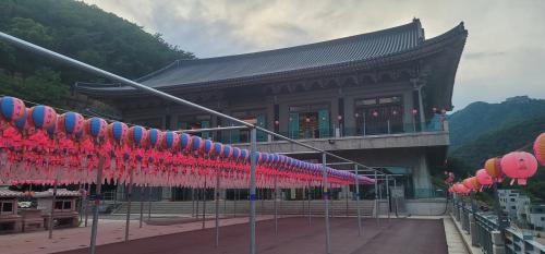 양주시 청련사 점등식 방문 (2026년 5월 18일)